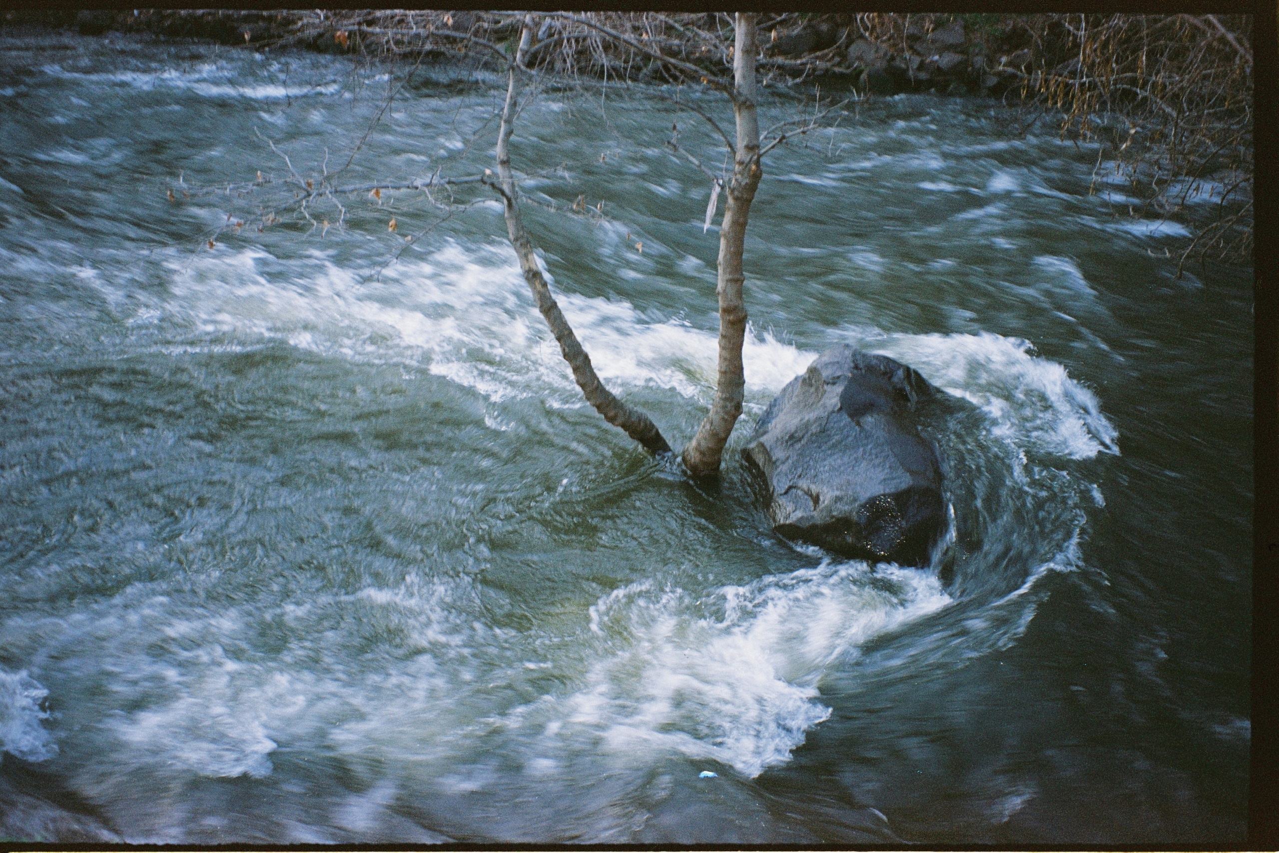 Автор: Дарья Ролдугина