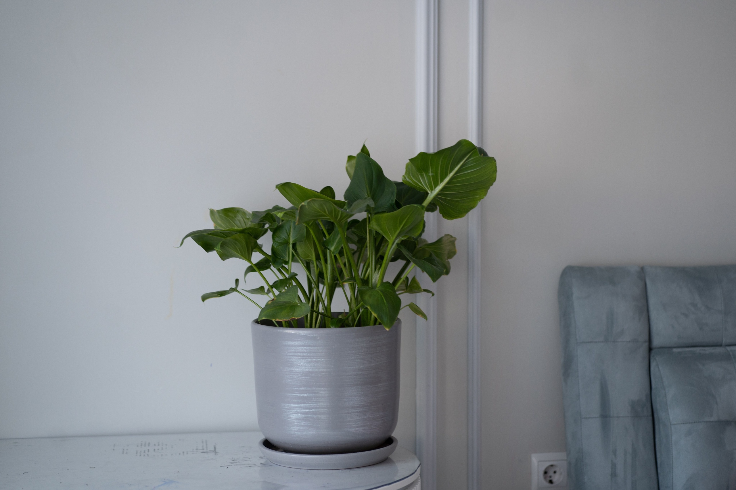 Съемка для патронажной службы. Фотограф и маркетолог Андрей Юрилин Саратов и Энгельс