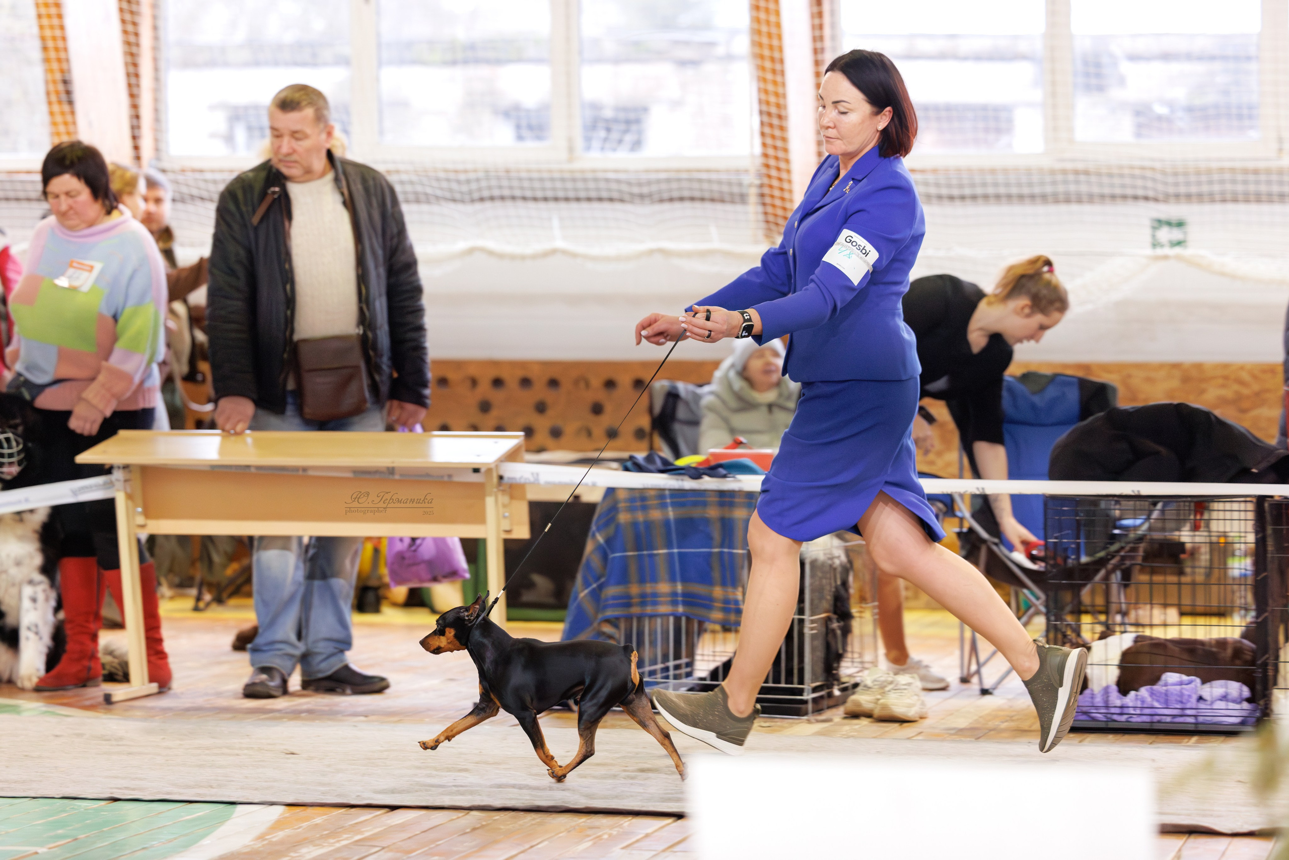 Тверь 21.12.2025. Фотограф-анималист Юлия Германика