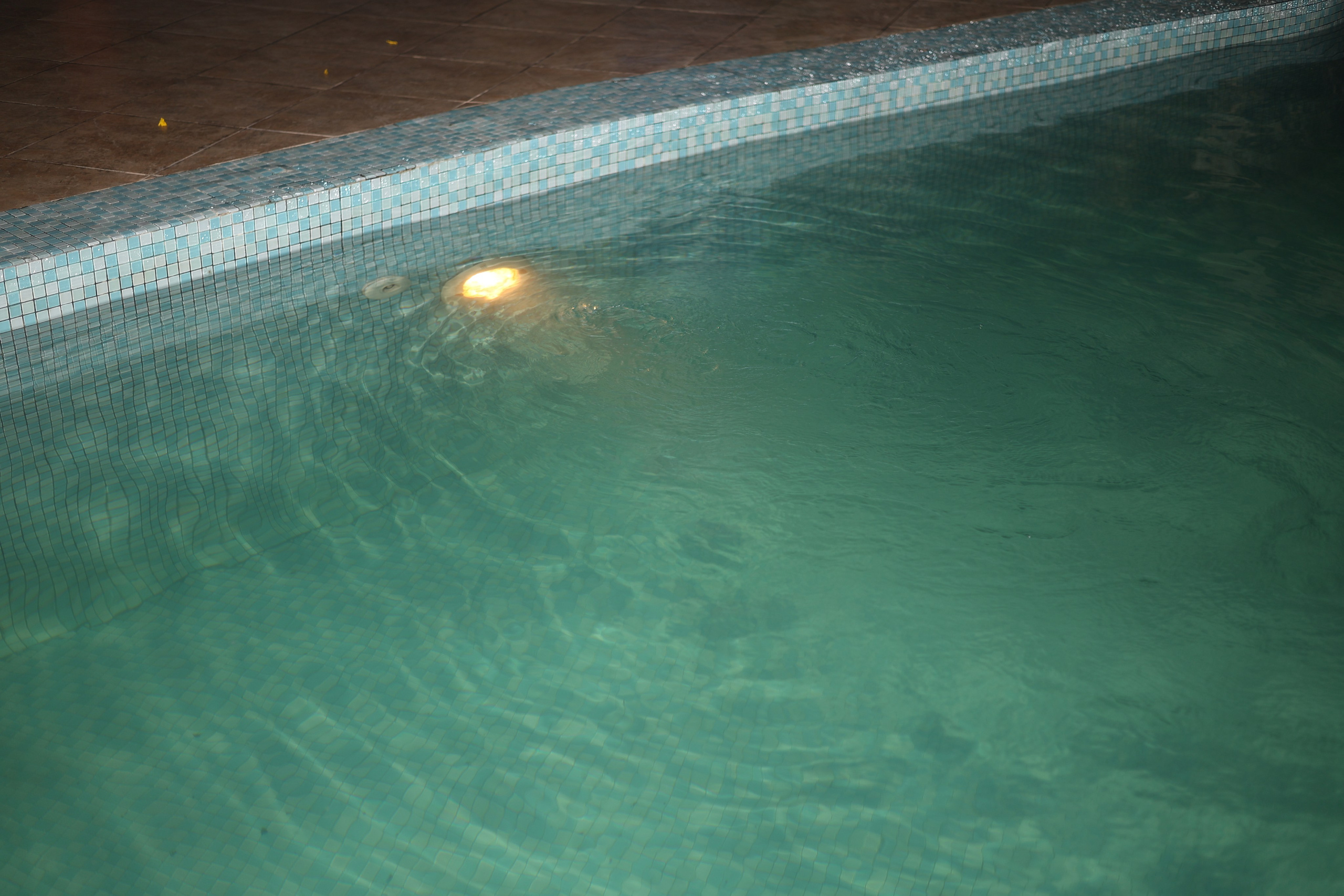 Student american-style party. Mintonov's Film Studio