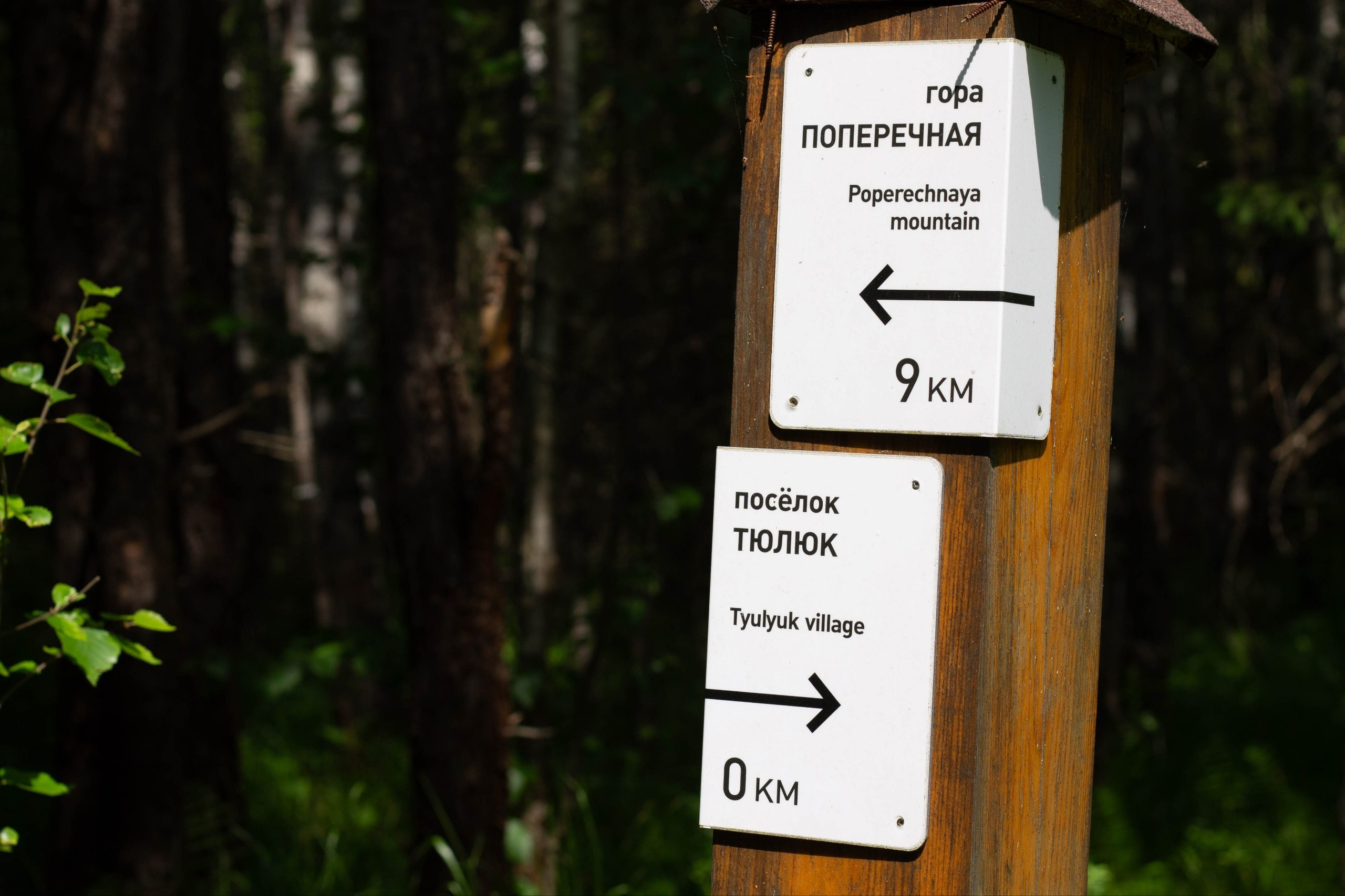 Разное. Mintonov's Film Studio