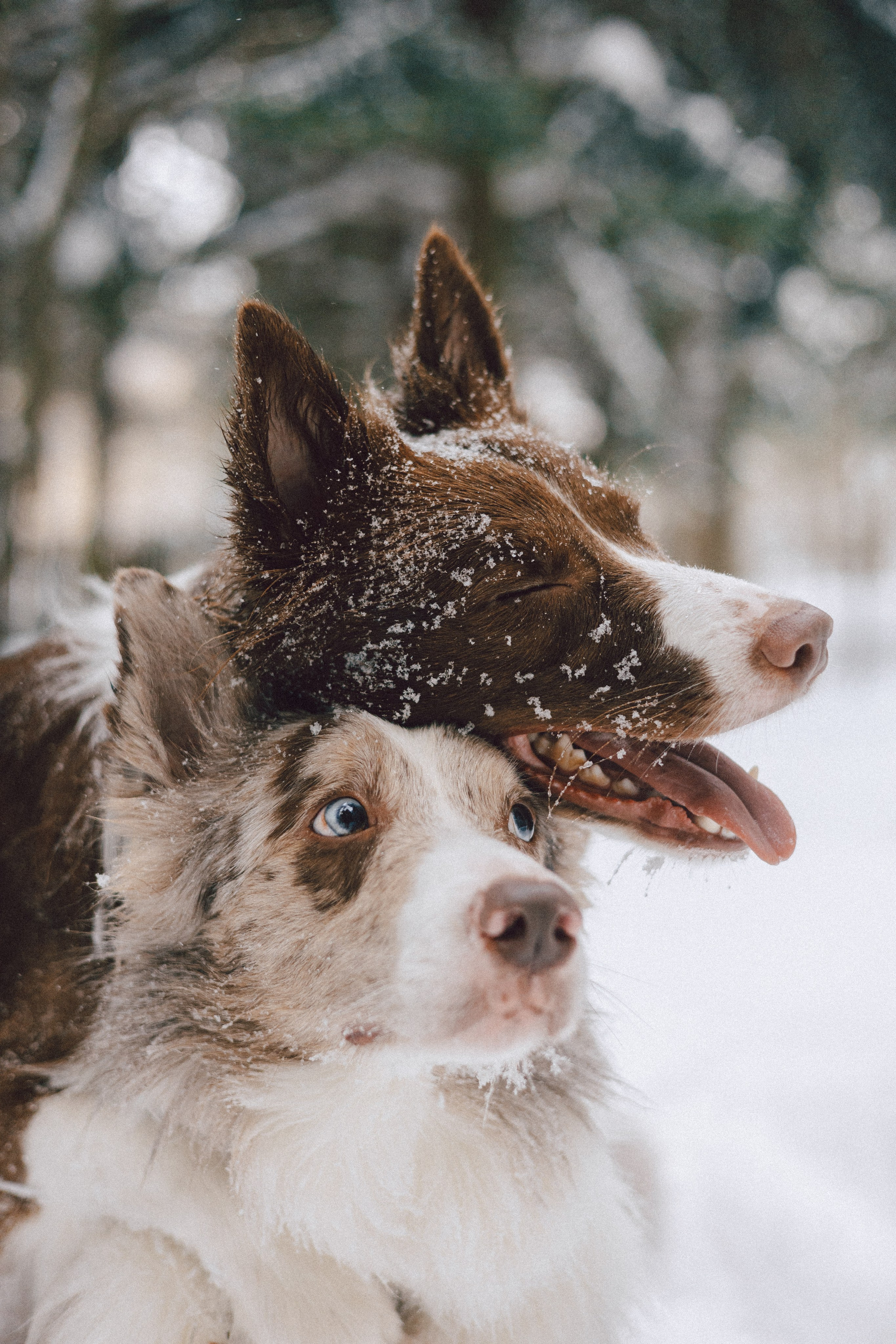 Настя и Ваня. Фотограф Анна Луценко Москва