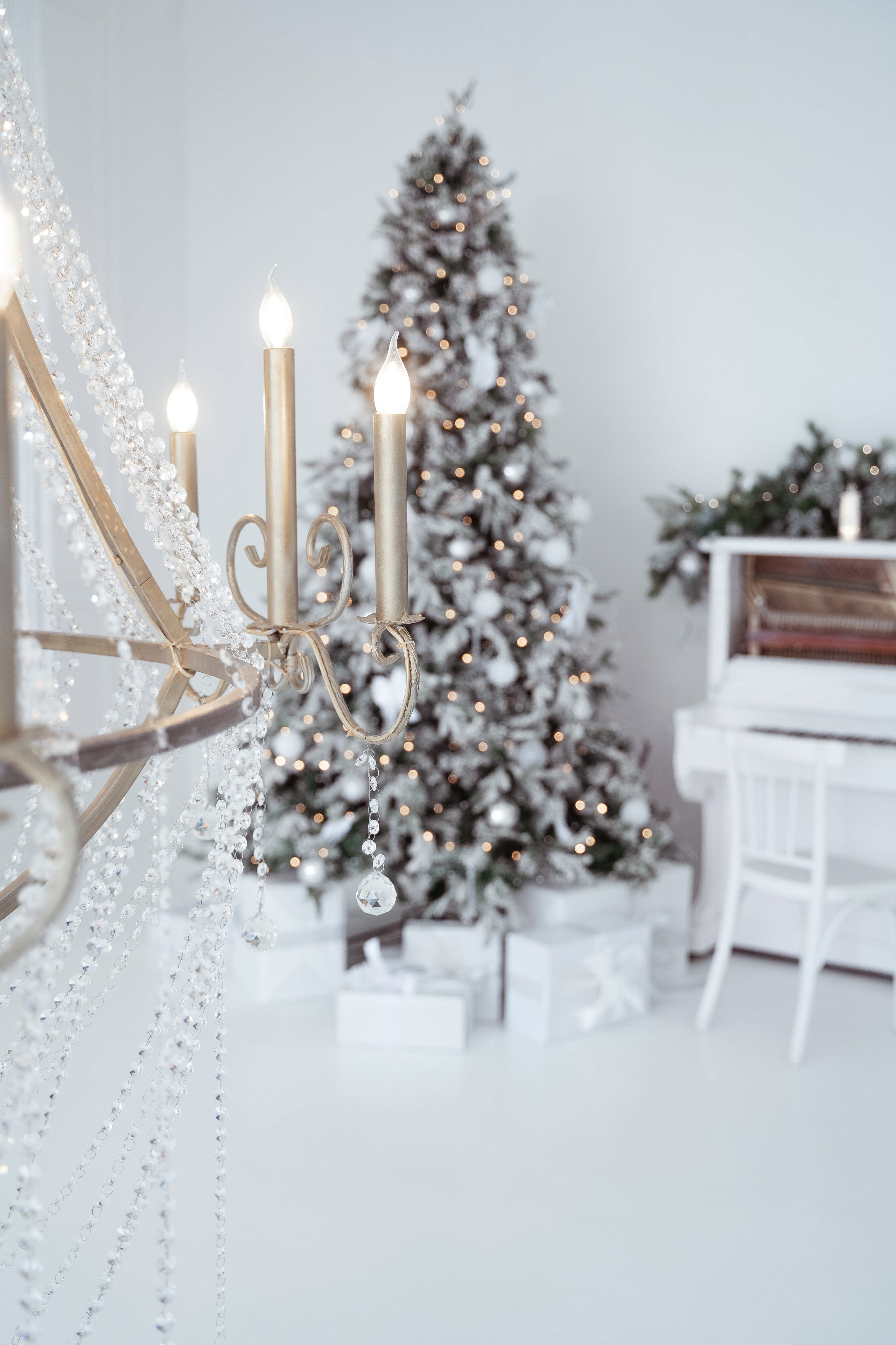 Зал Ренессанс. Фотограф г. Хабаровск. Семейные и индивидуальные съёмки