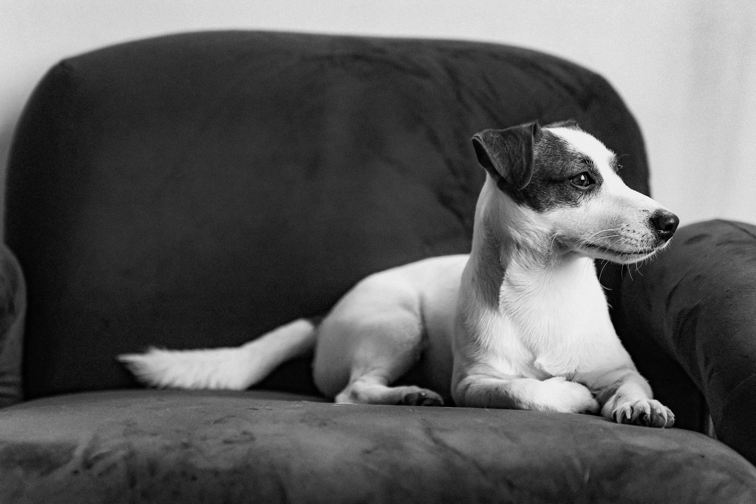 2024.03.24 Танюша, Руслан и Боба. Ирина Бешляга. Фотограф в Москве и по всей России