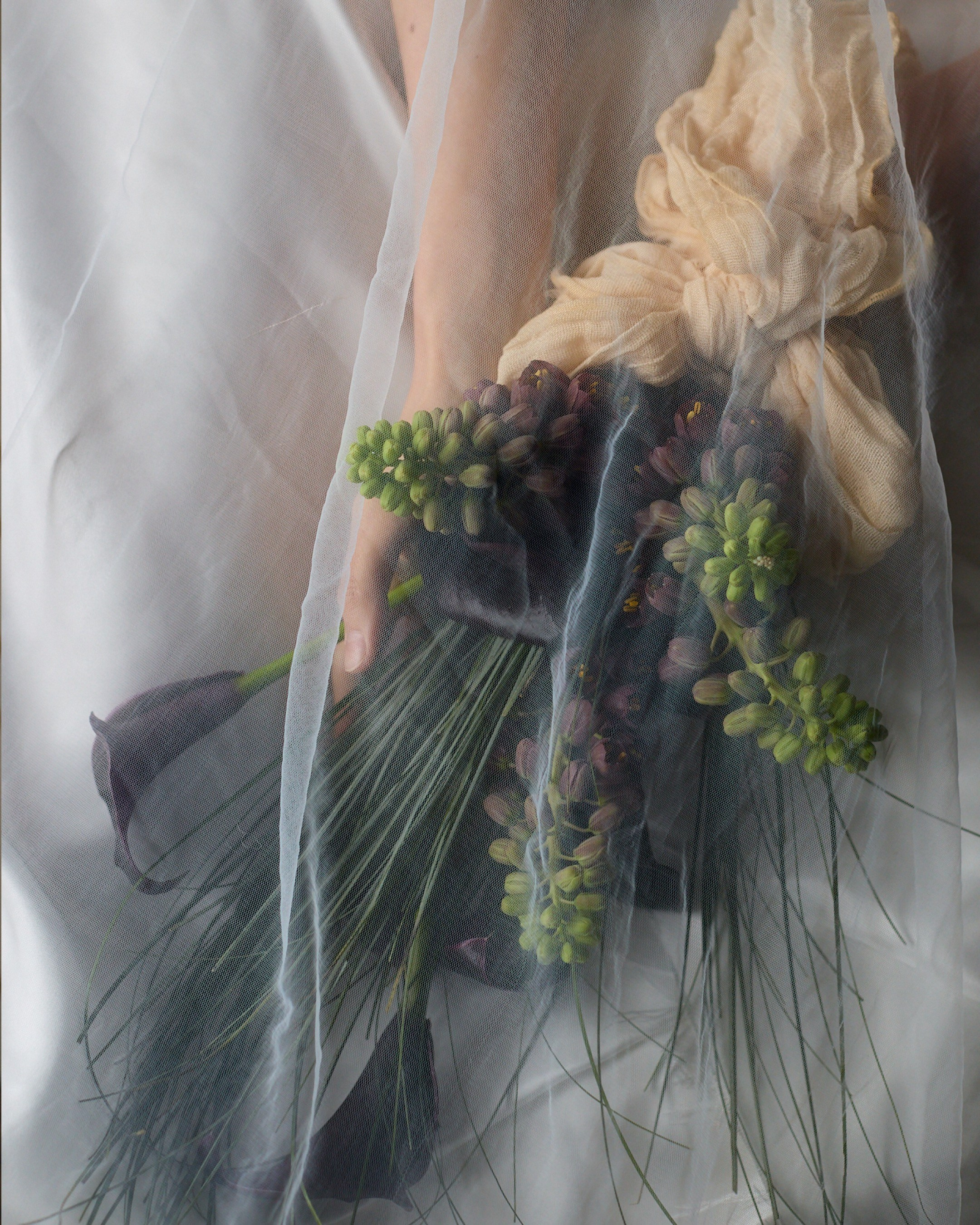 @dariazphoto свадебный фотограф