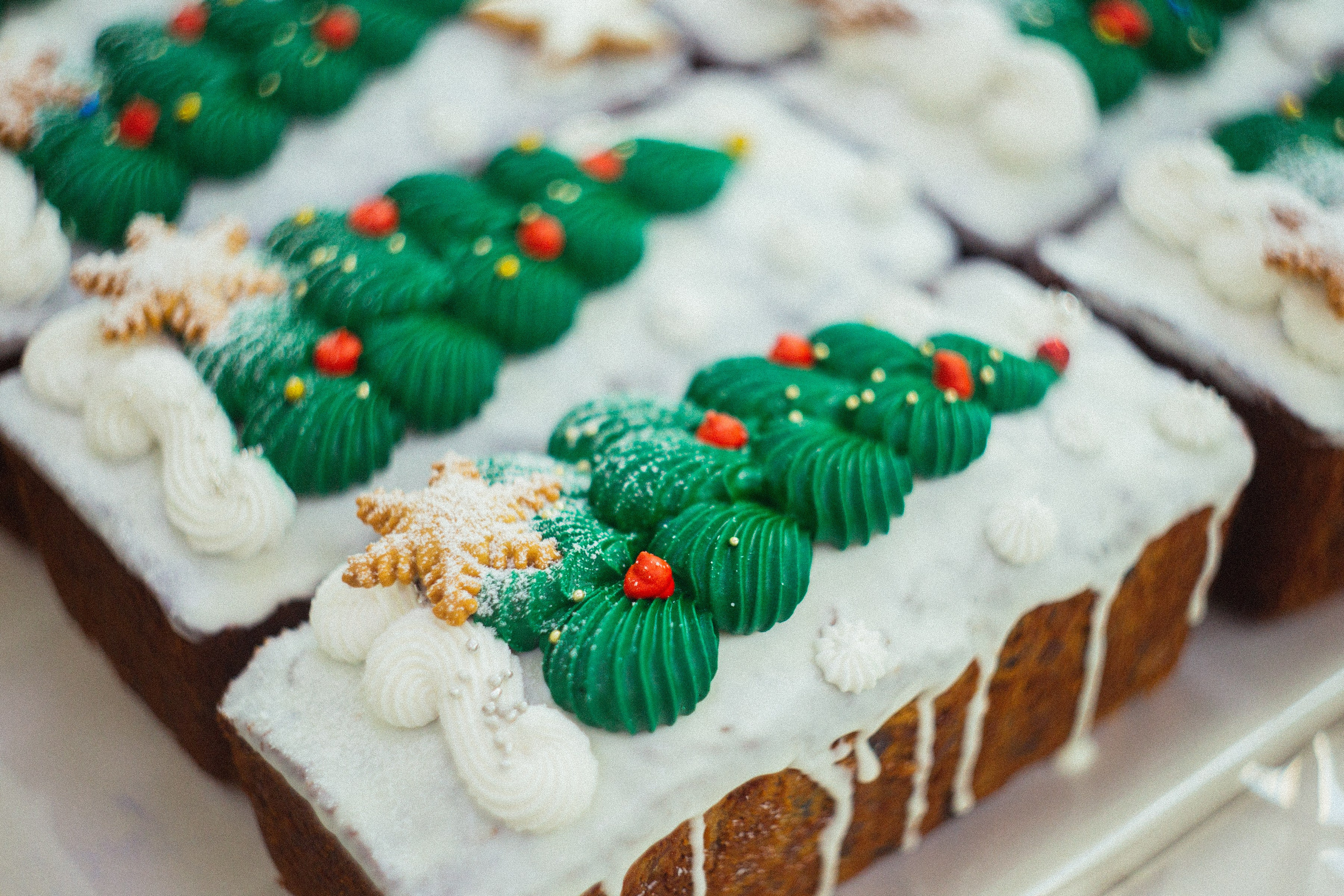 Съемки для бизнеса, контент, мероприятия. Семейный и контент фотограф в Москве Вероника Швец