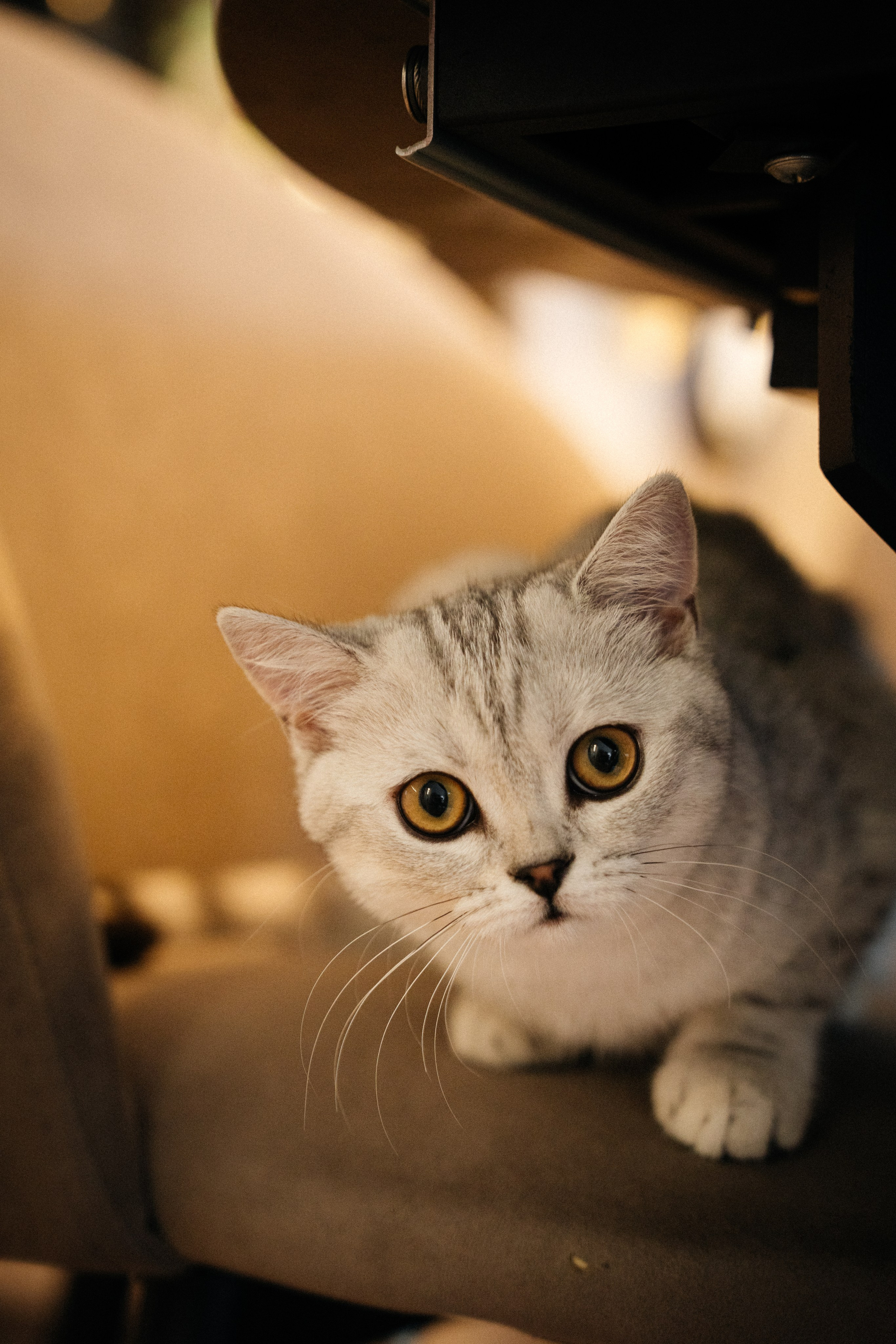 Семья Ксении и Максима. Фотограф | Юлия Арт| Обучение