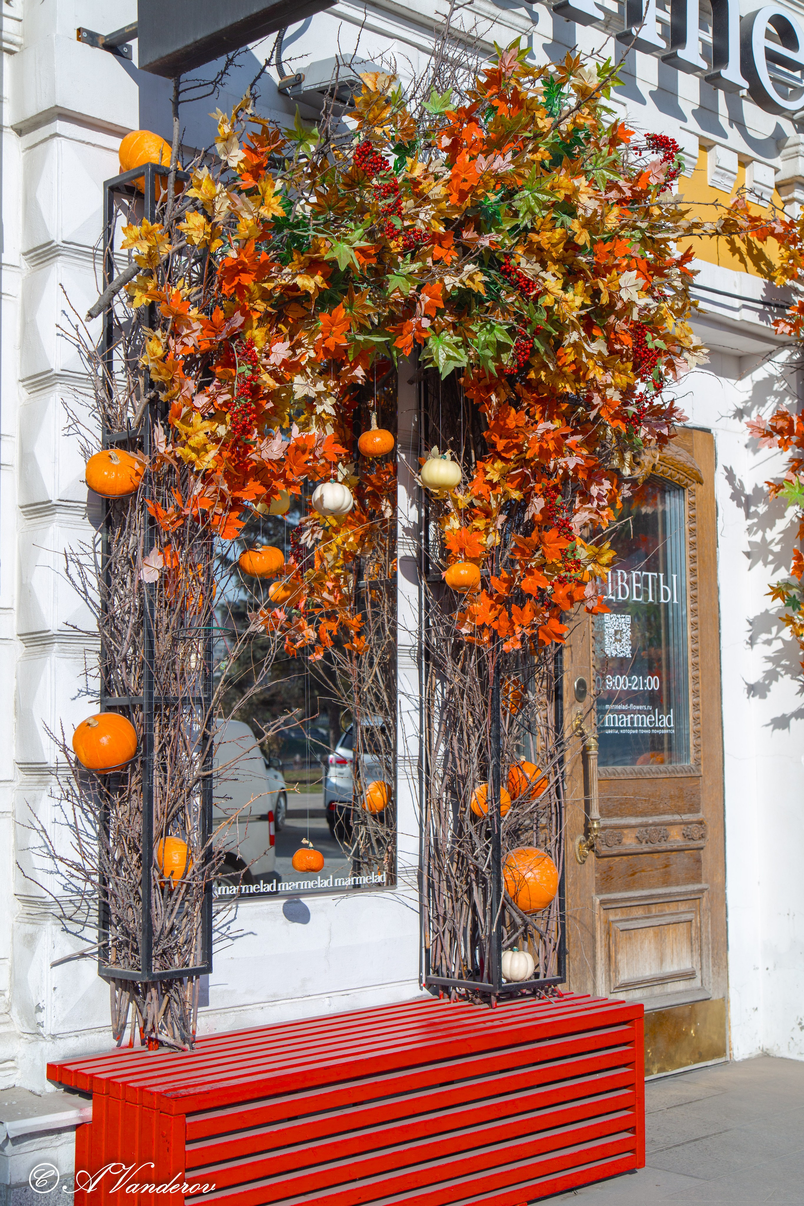 Омск 2024. Фотограф Омск | Александр Вандеров