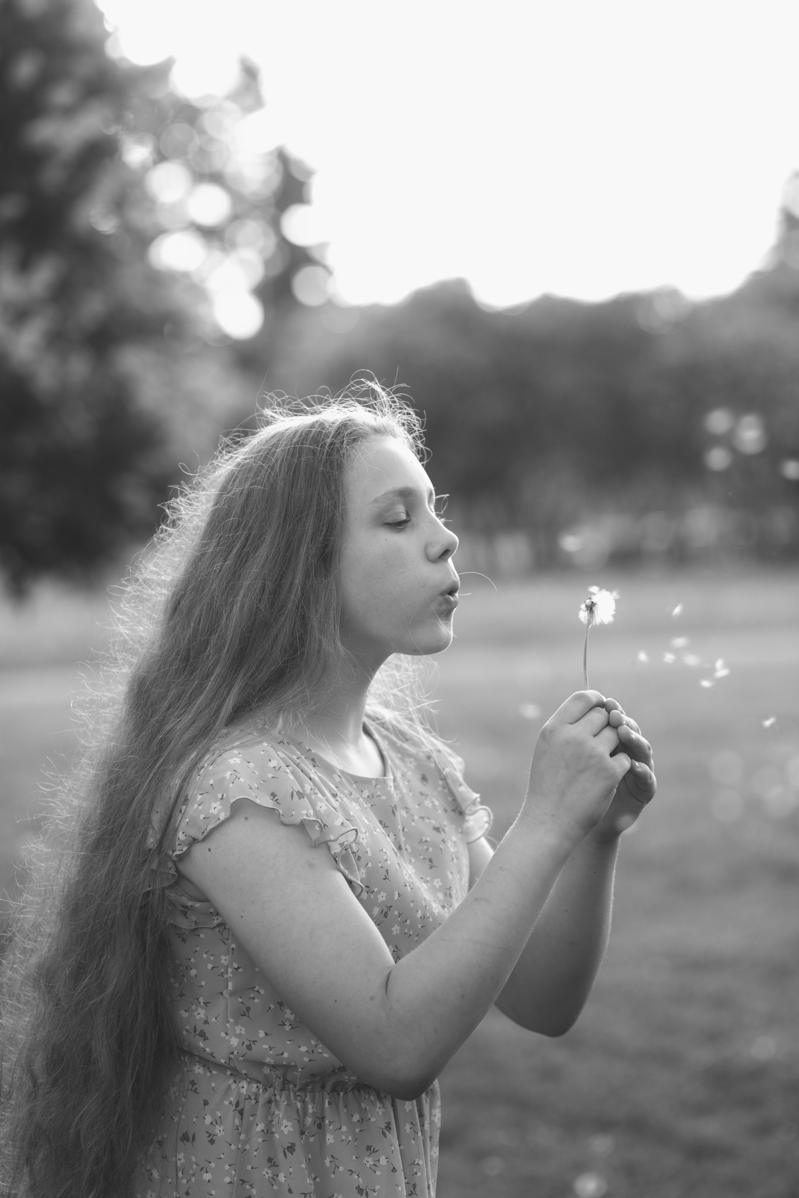 Летняя фотосессия с домашними любимцами в парке. Фотограф в Санкт-Петербурге, Анна Скворцова