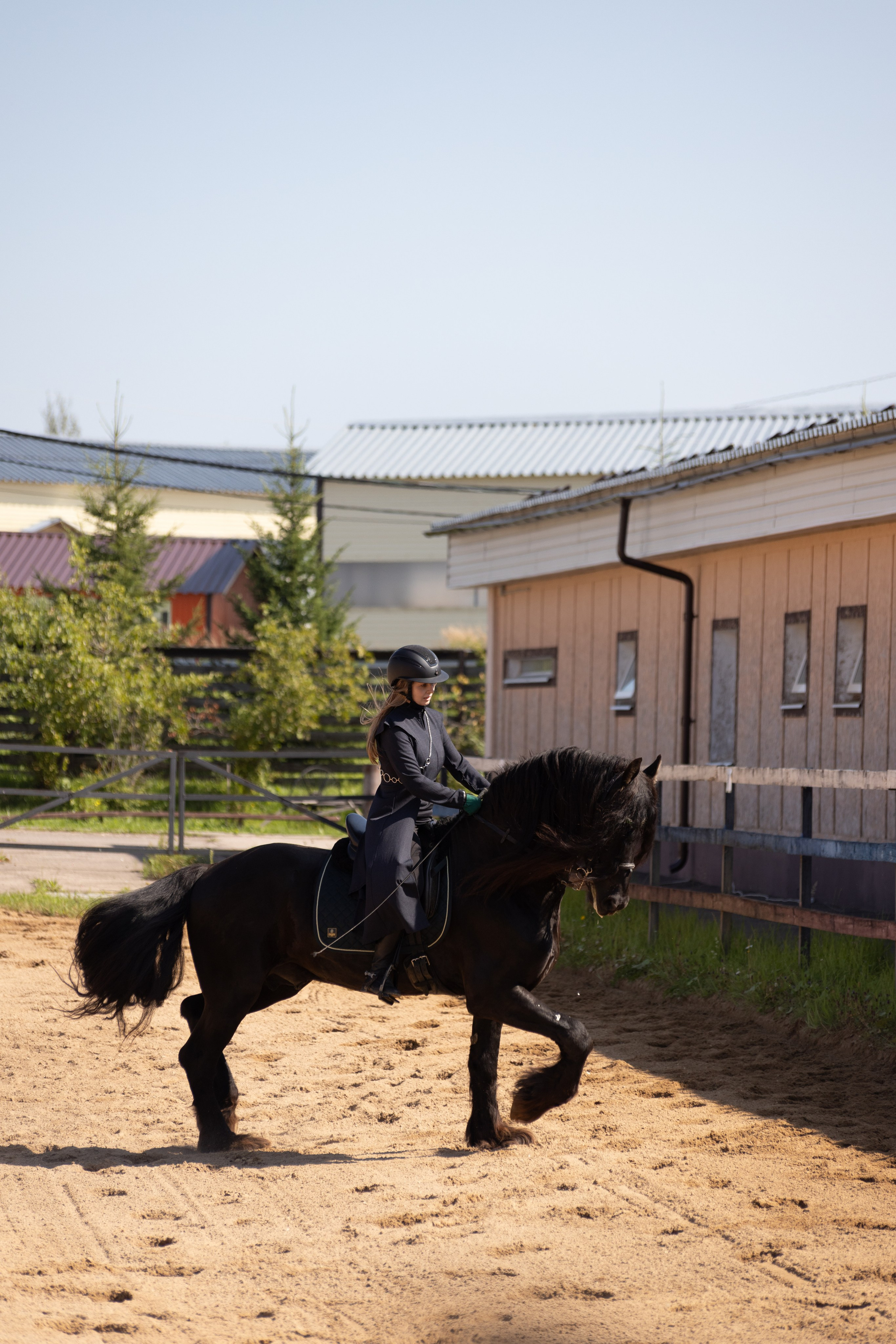 Конюшня. Фотограф в Москве и Истре