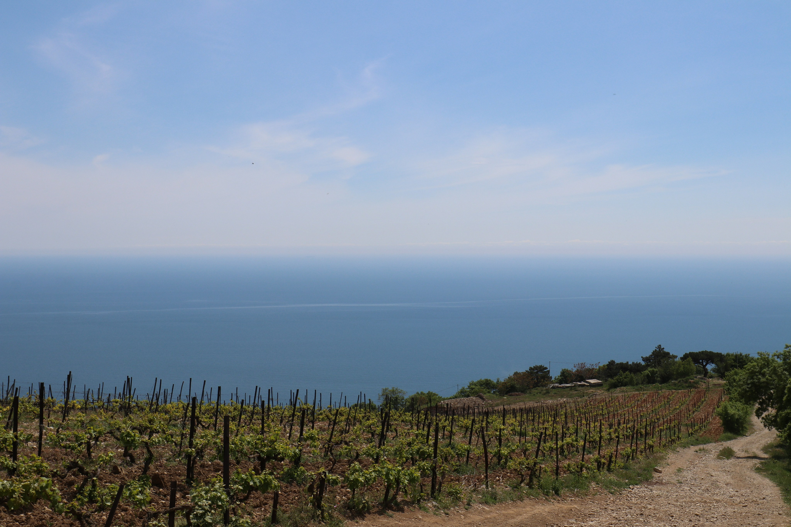 Крым. ЮБК (Бахчисарай, Демерджи, Судак). Первый скалолазный выезд. Май 2019. Путешественник-фотограф из Санкт-Петербурга Татьяна Свистулина