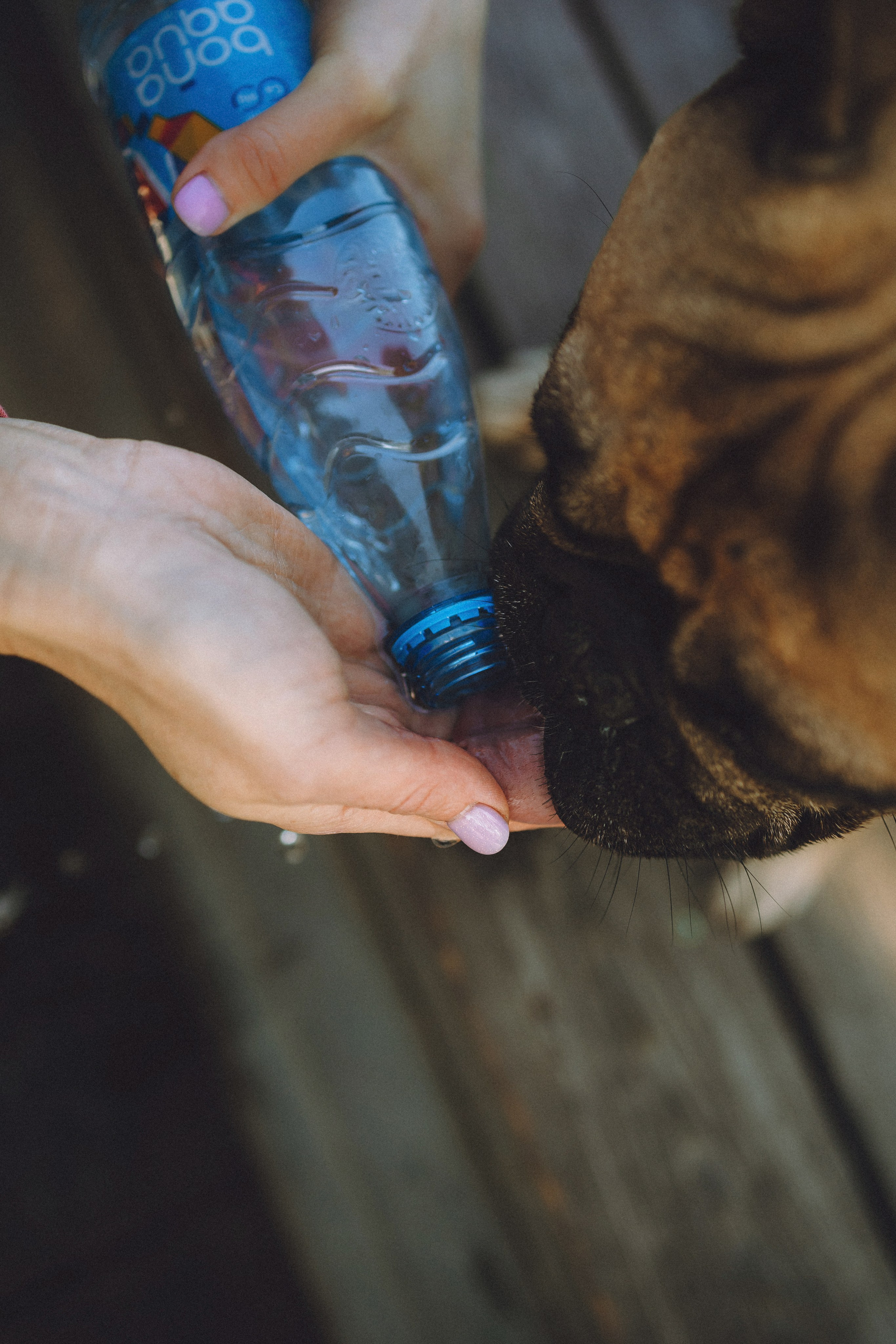 Настя, Женя и Хонор