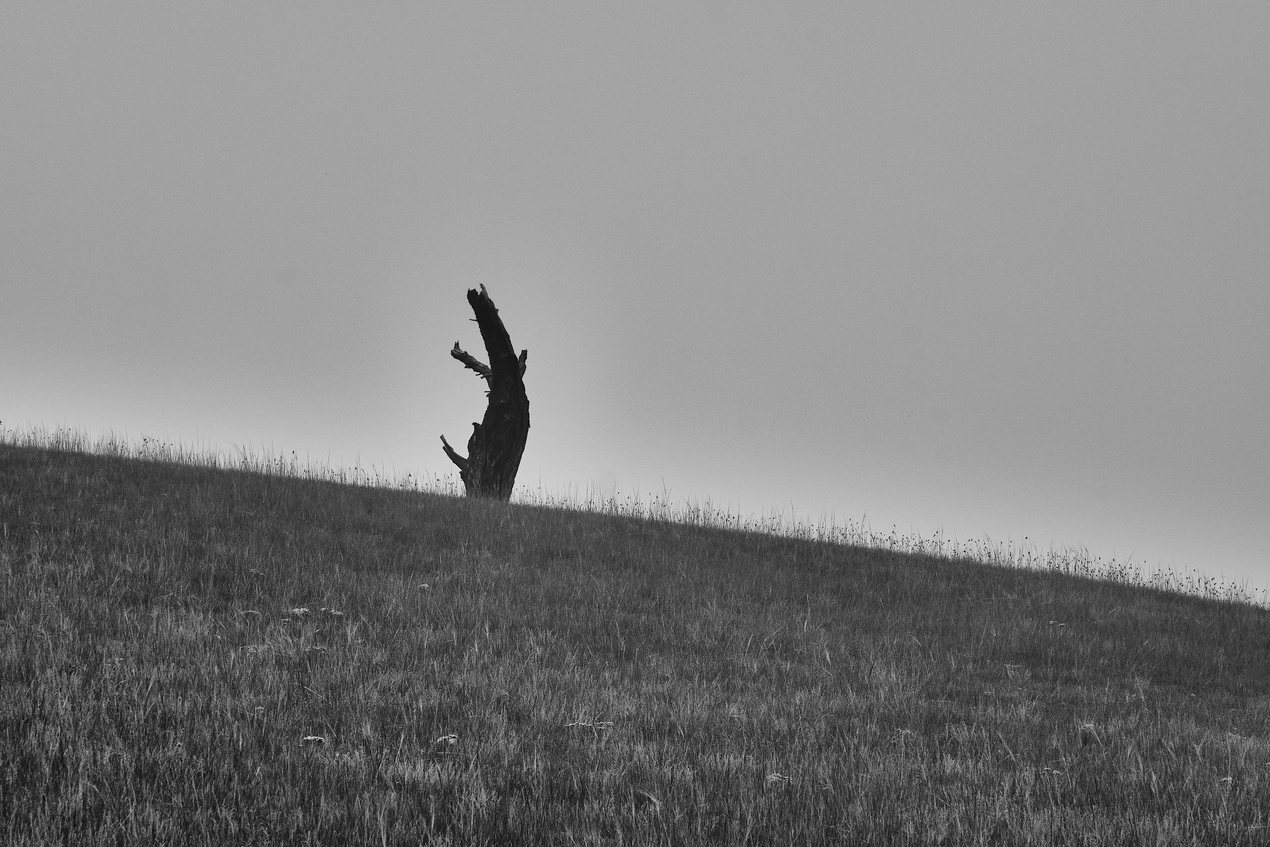 Москва — Владивосток. Охота за образами Мира. Shaltay Gallery