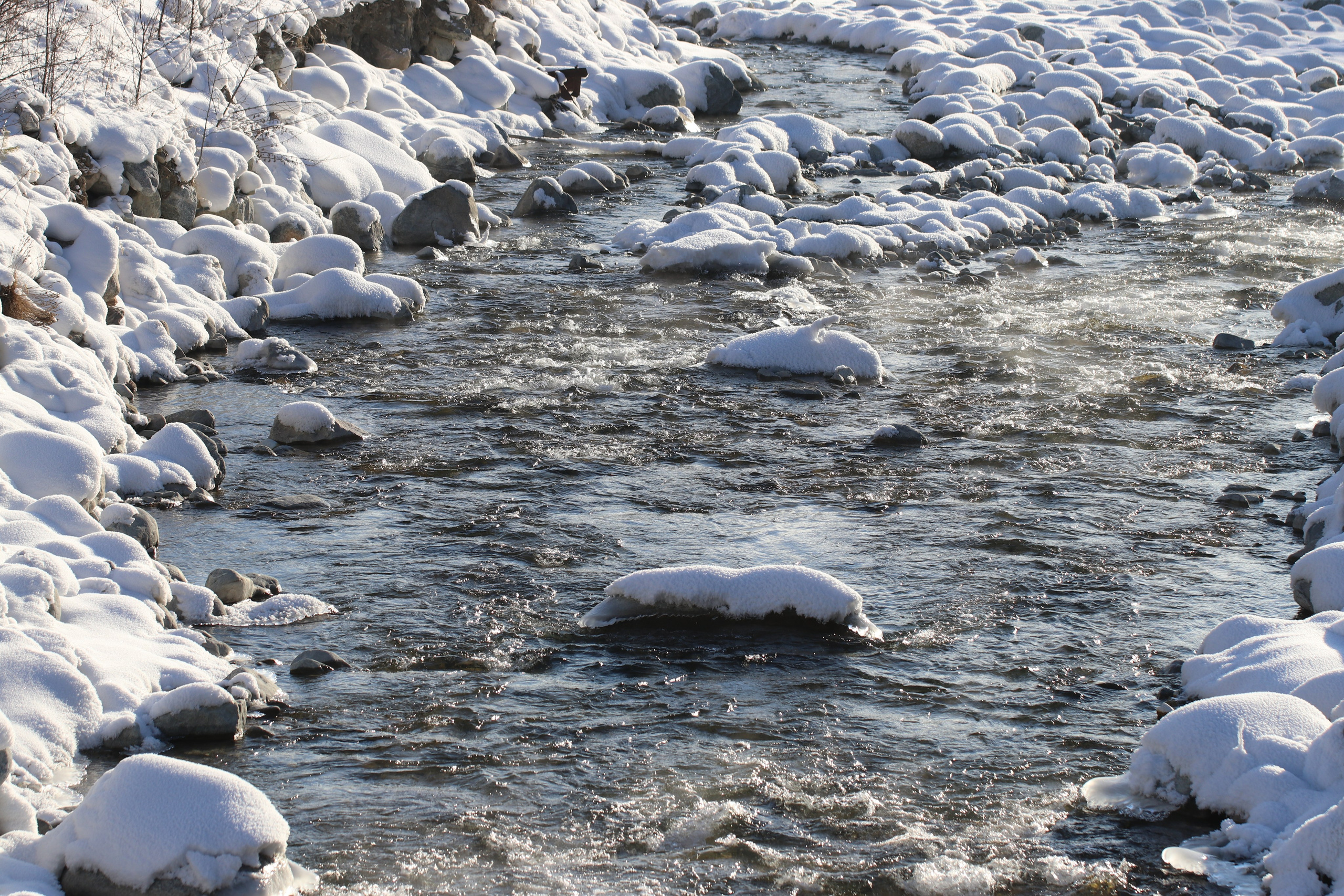 Аршан. Январь 2022. Путешественник-фотограф из Санкт-Петербурга Татьяна Свистулина