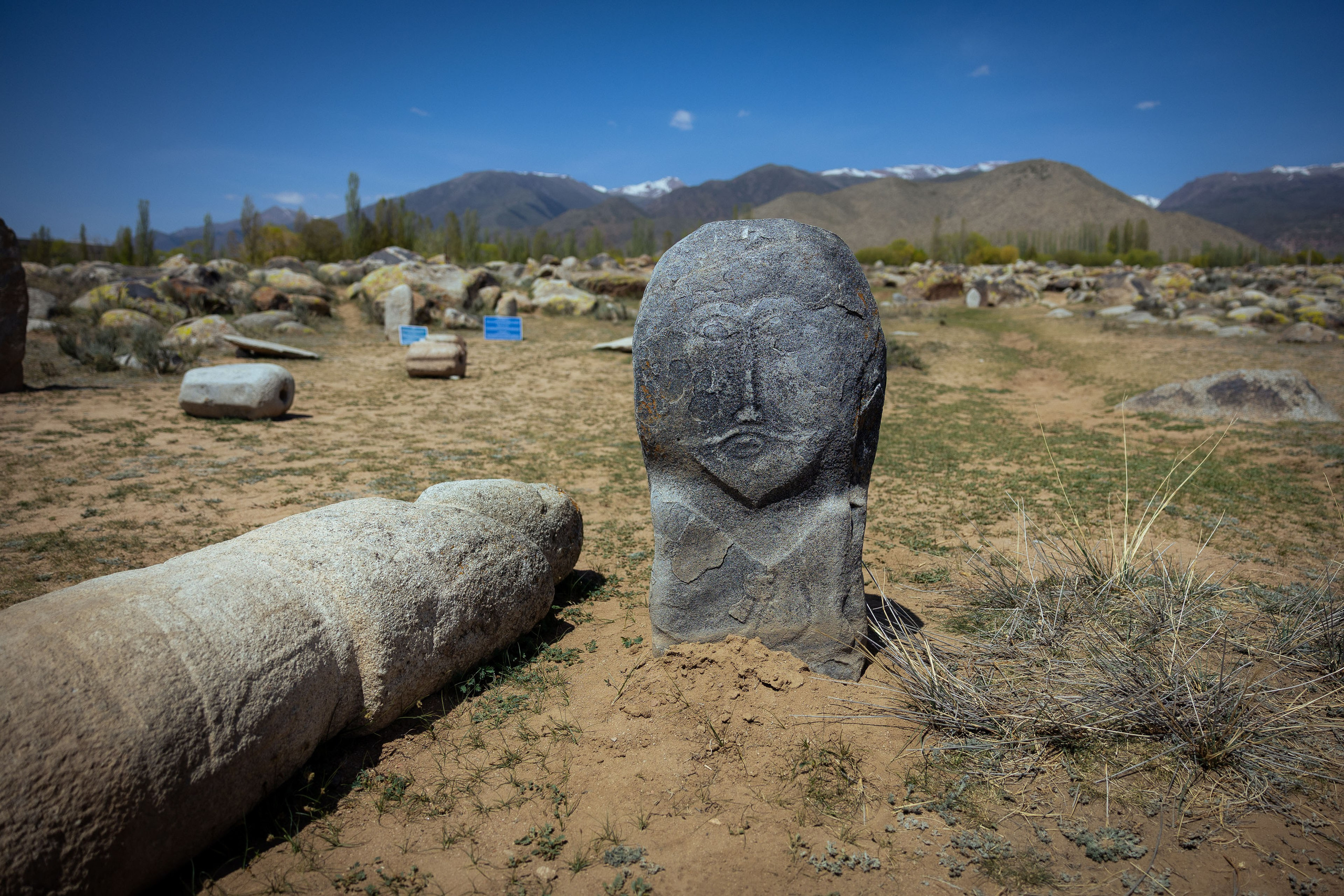 Кыргызстан (весна 2025). Фотограф Виноградов Константин