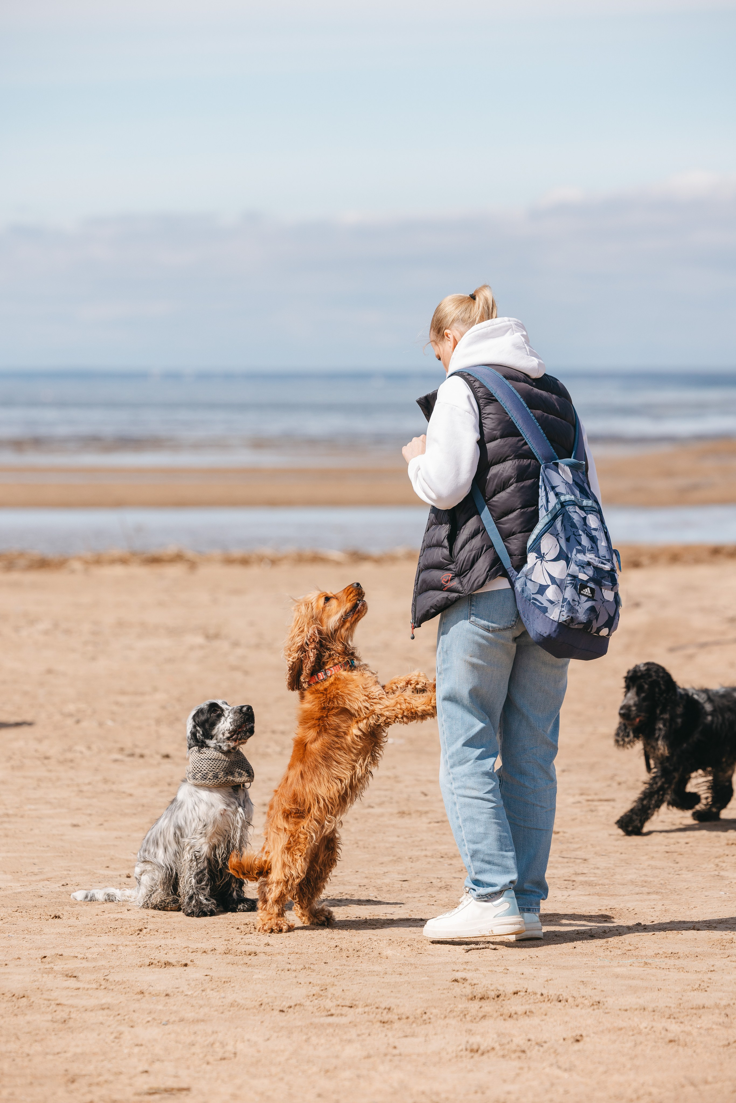 Спанимания. Фотограф анималист Осипчикова Мария