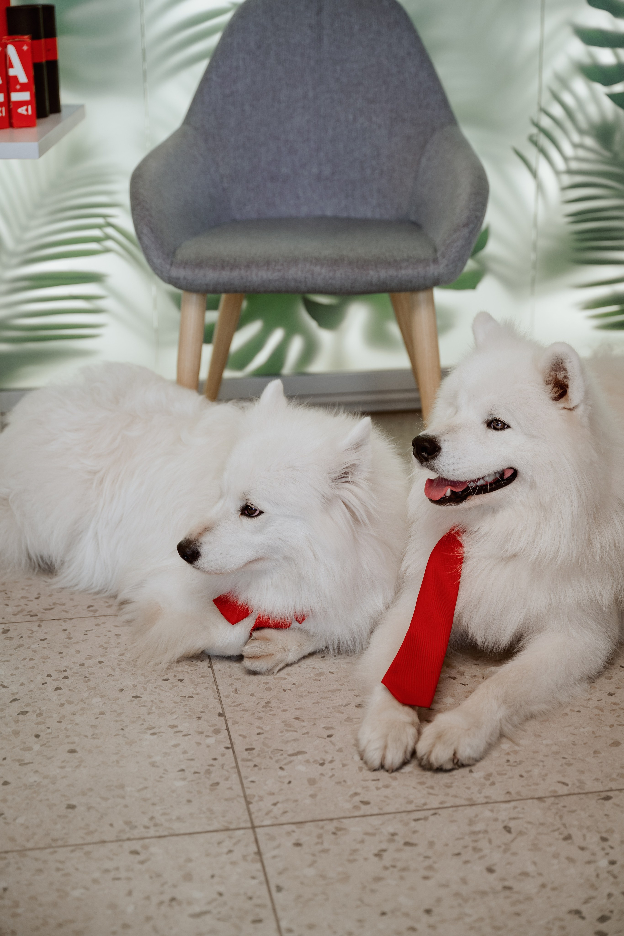 Альфа банк Карла Маркса 5. Фотограф Кристина Тумаева. Самоед Новосибирск