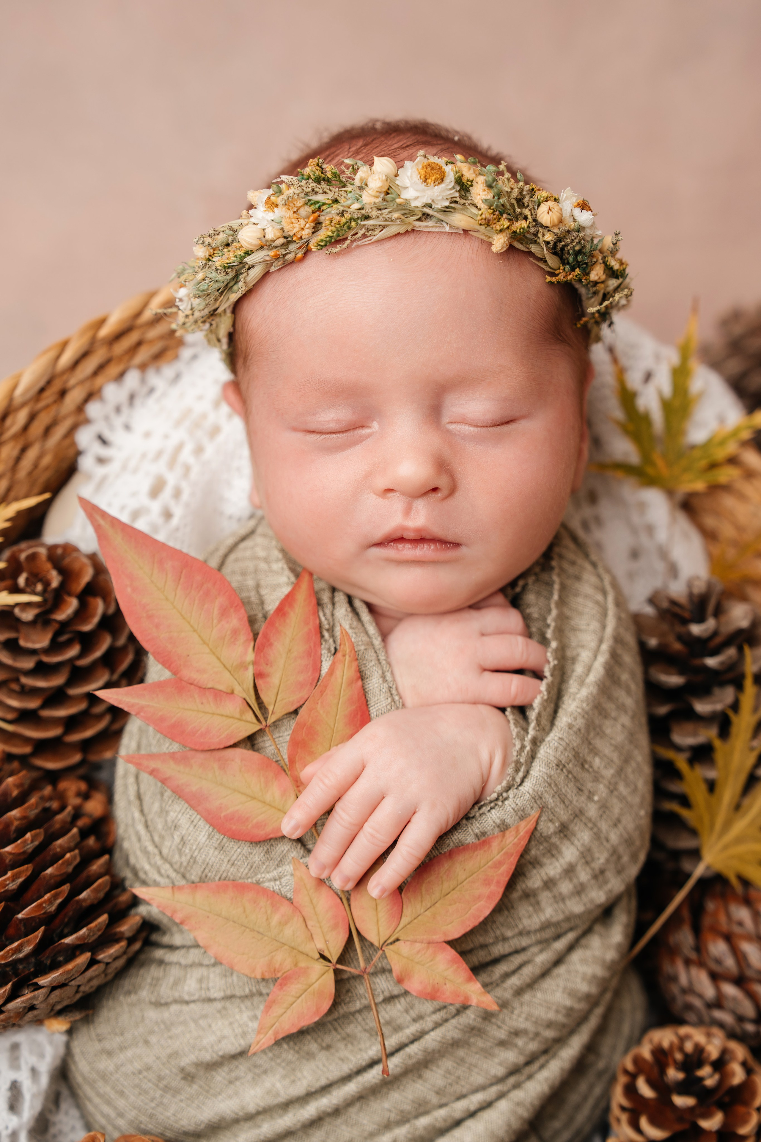 Newborn. Фотограф новорожденных в Москве, Зеленограде, МО, Дмитриева Дарья