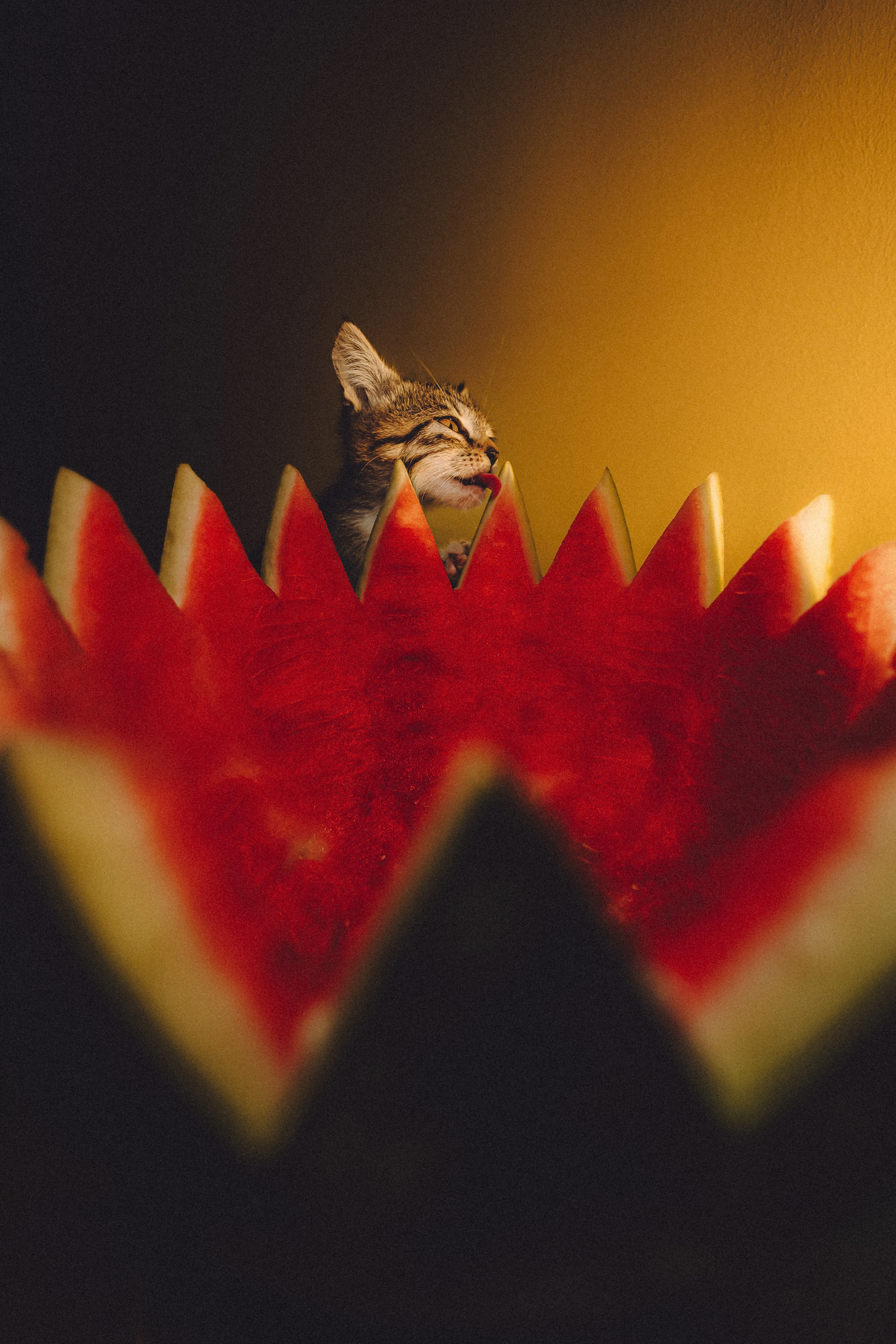 Сирена и арбуз