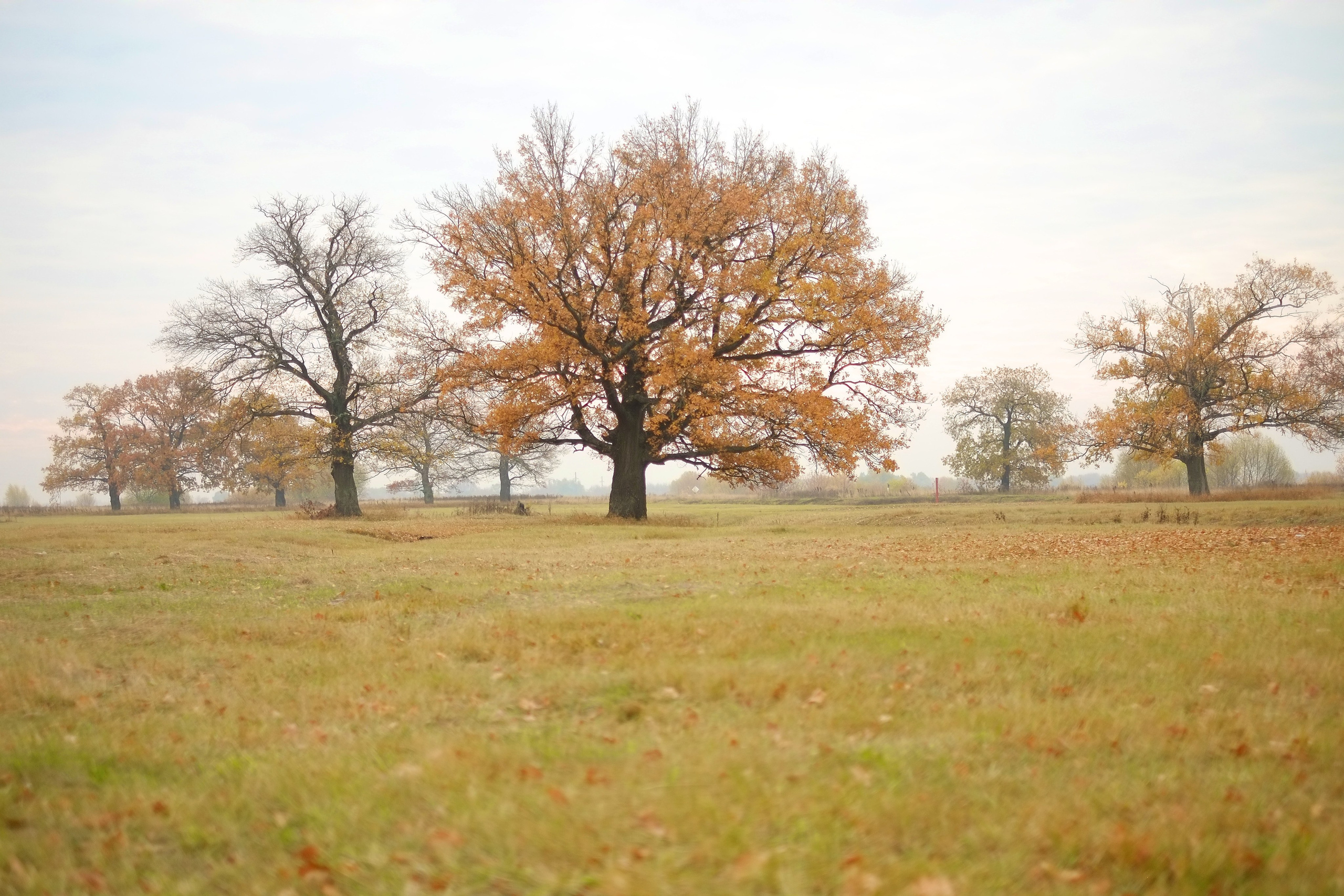 Фотограф Борис Флорин