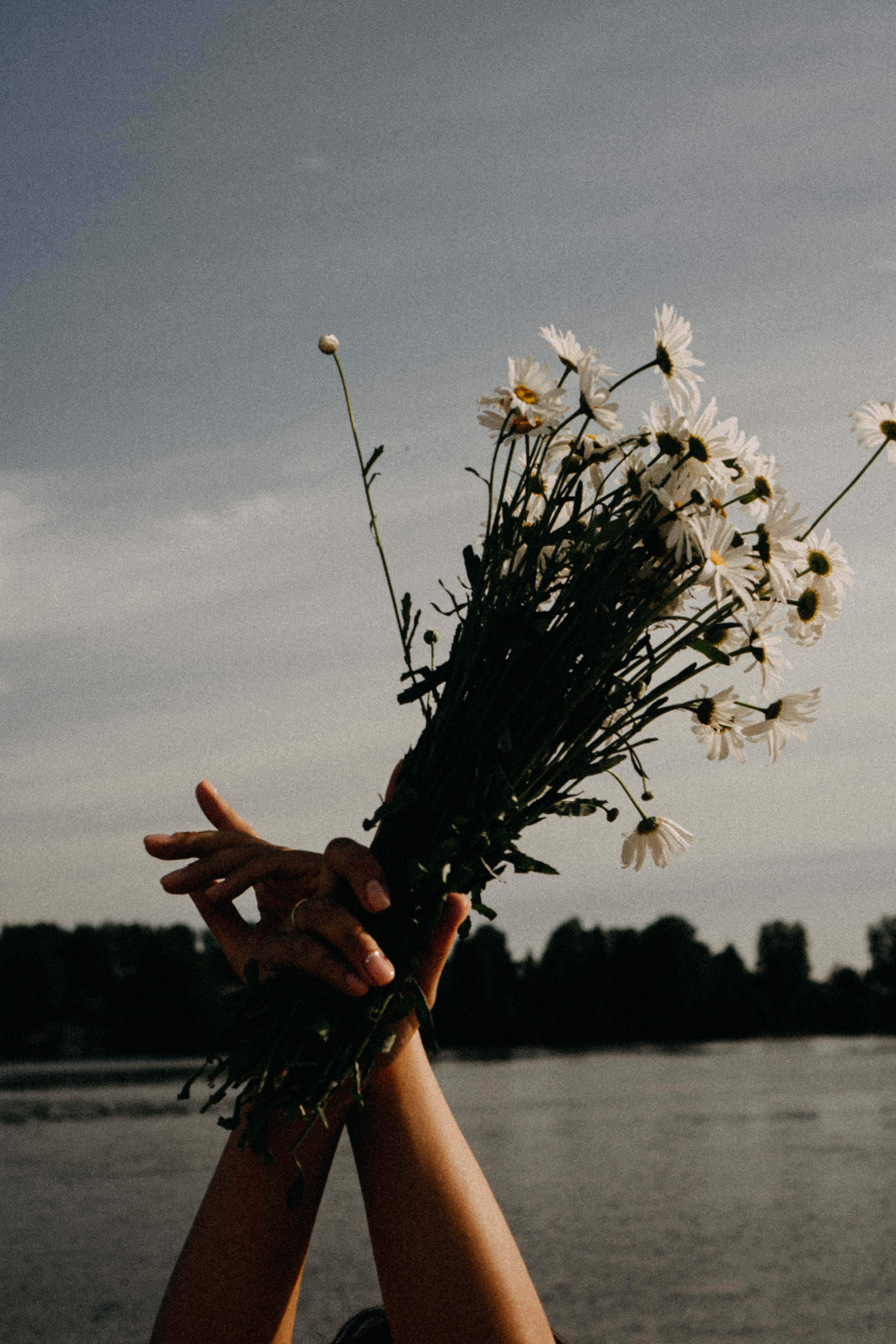 Летняя прогулка. Профессиональный фотограф, Санкт-Петербург — Виктория Богомолова