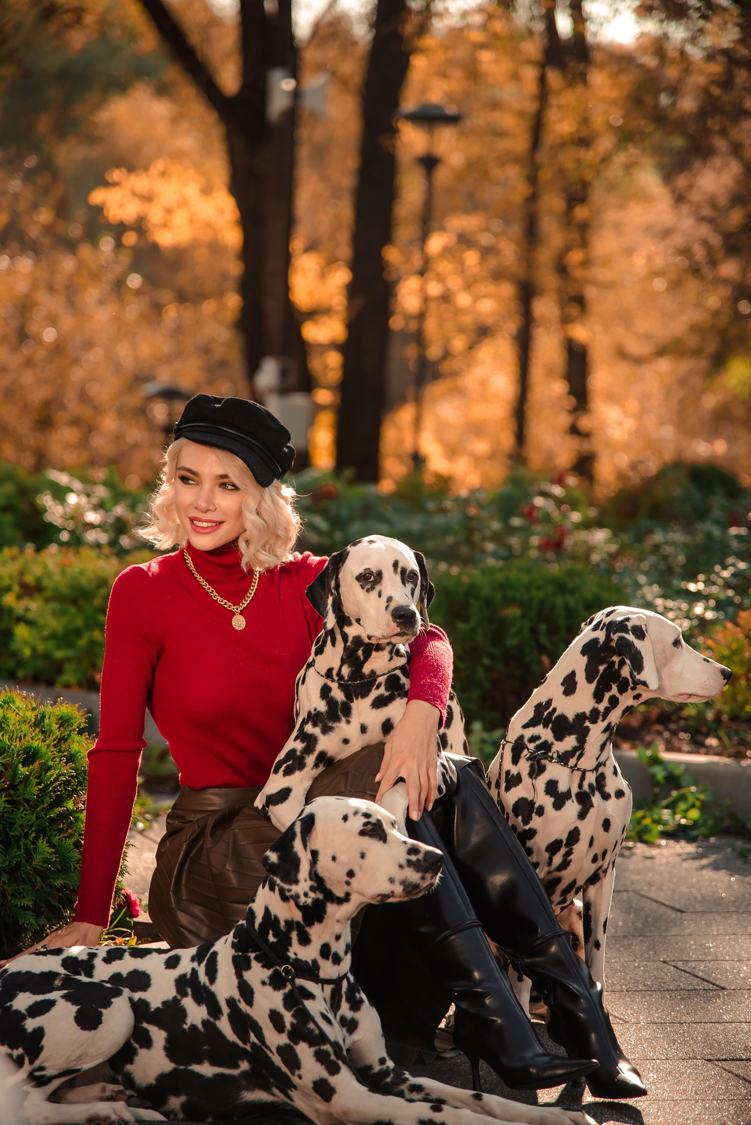 Далматины в большом городе 10.10.21. Контент фотограф в Москве Лихачева Ксения