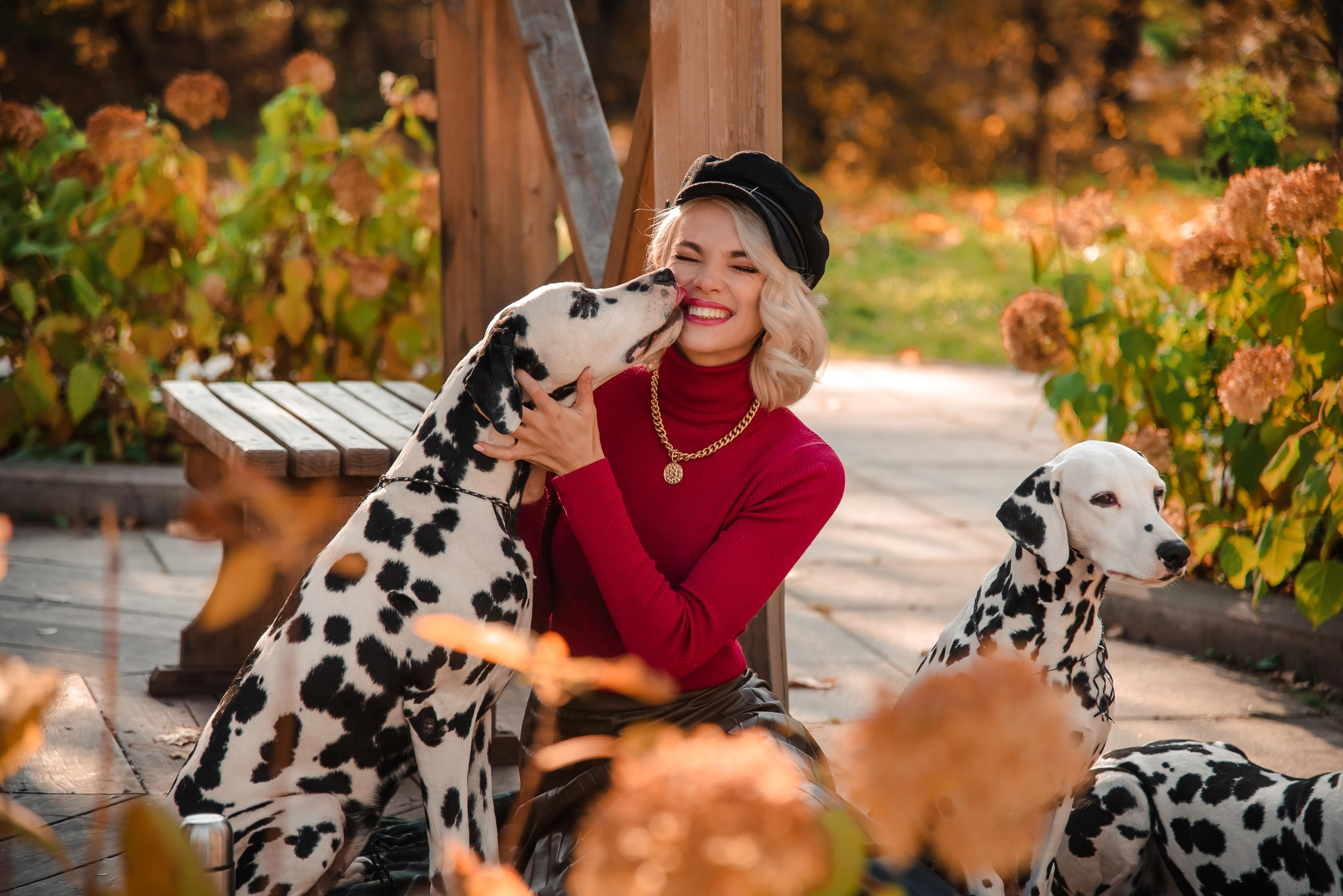 Далматины в большом городе 10.10.21. Контент фотограф в Москве Лихачева Ксения