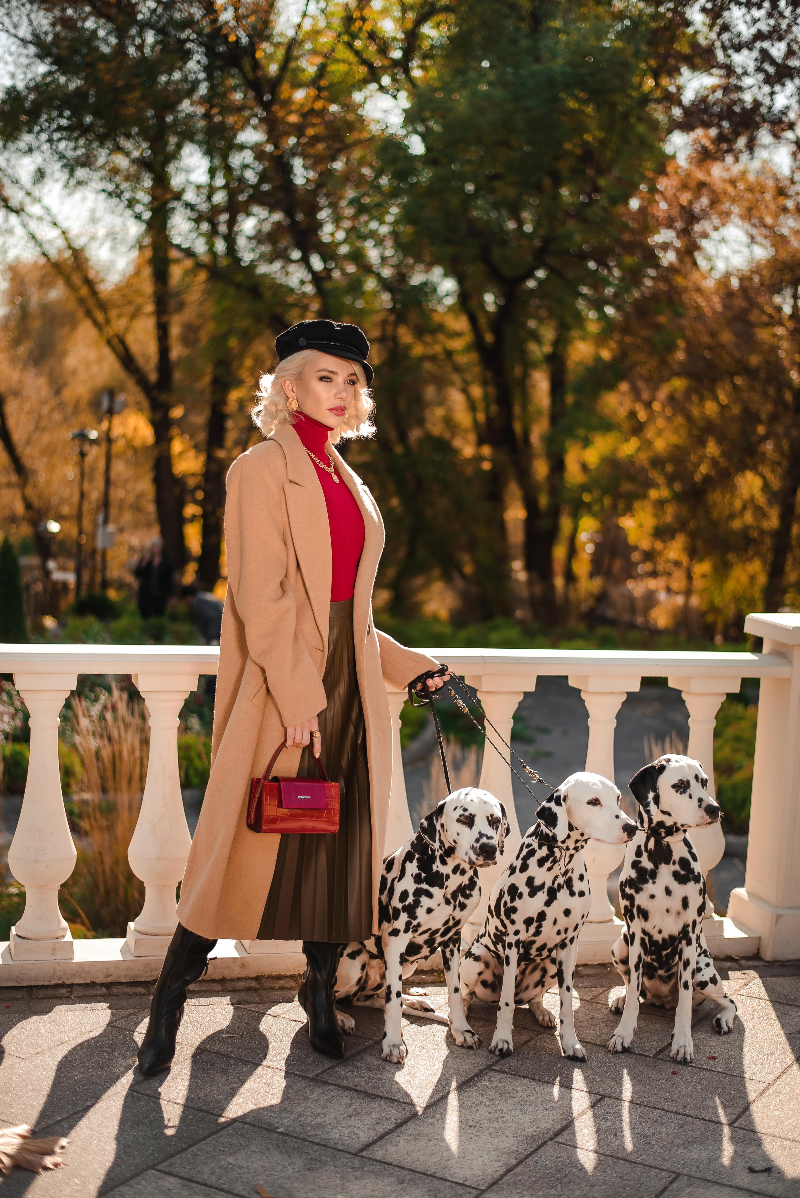 Далматины в большом городе 10.10.21. Контент фотограф в Москве Лихачева Ксения