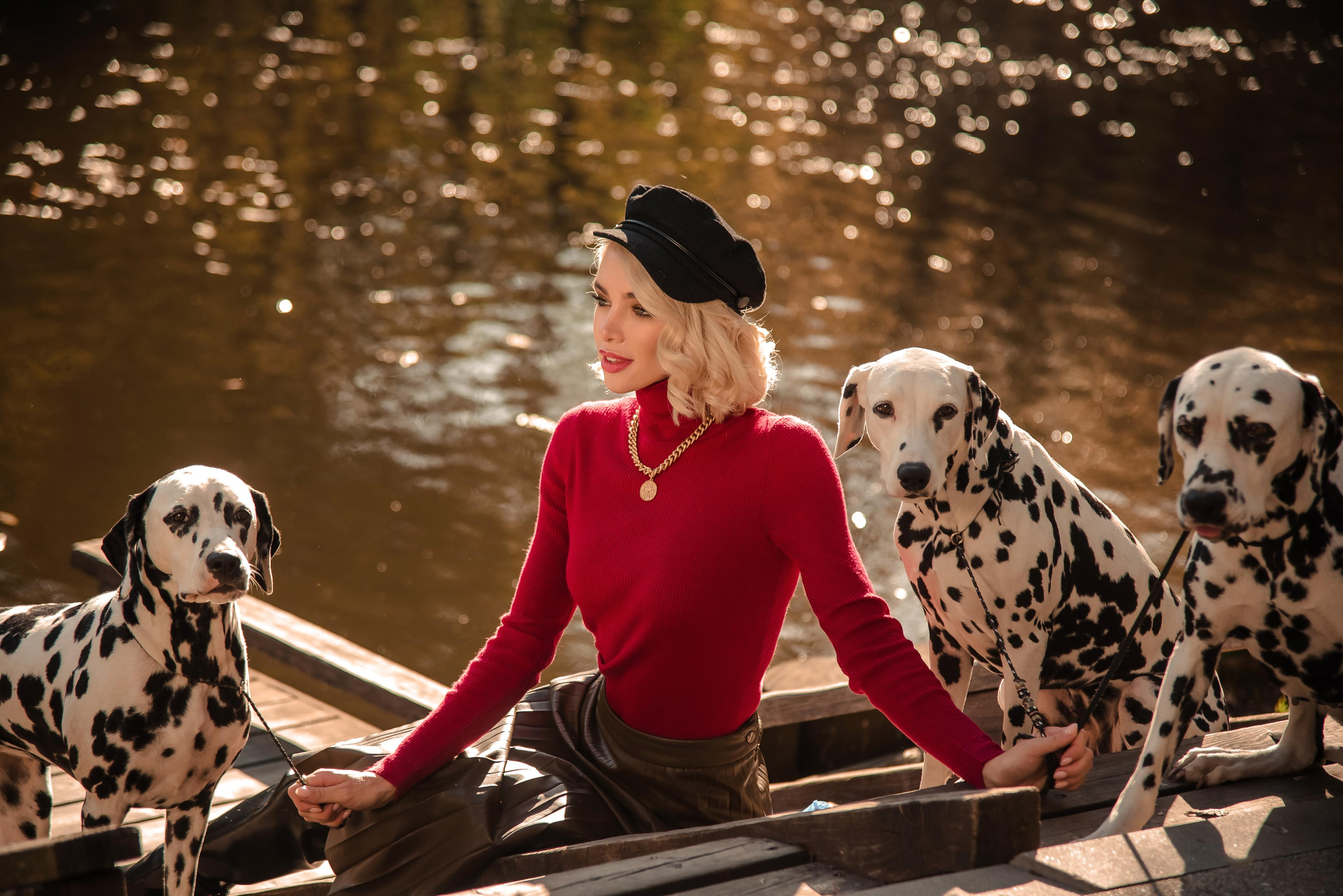 Далматины в большом городе 10.10.21. Контент фотограф в Москве Лихачева Ксения