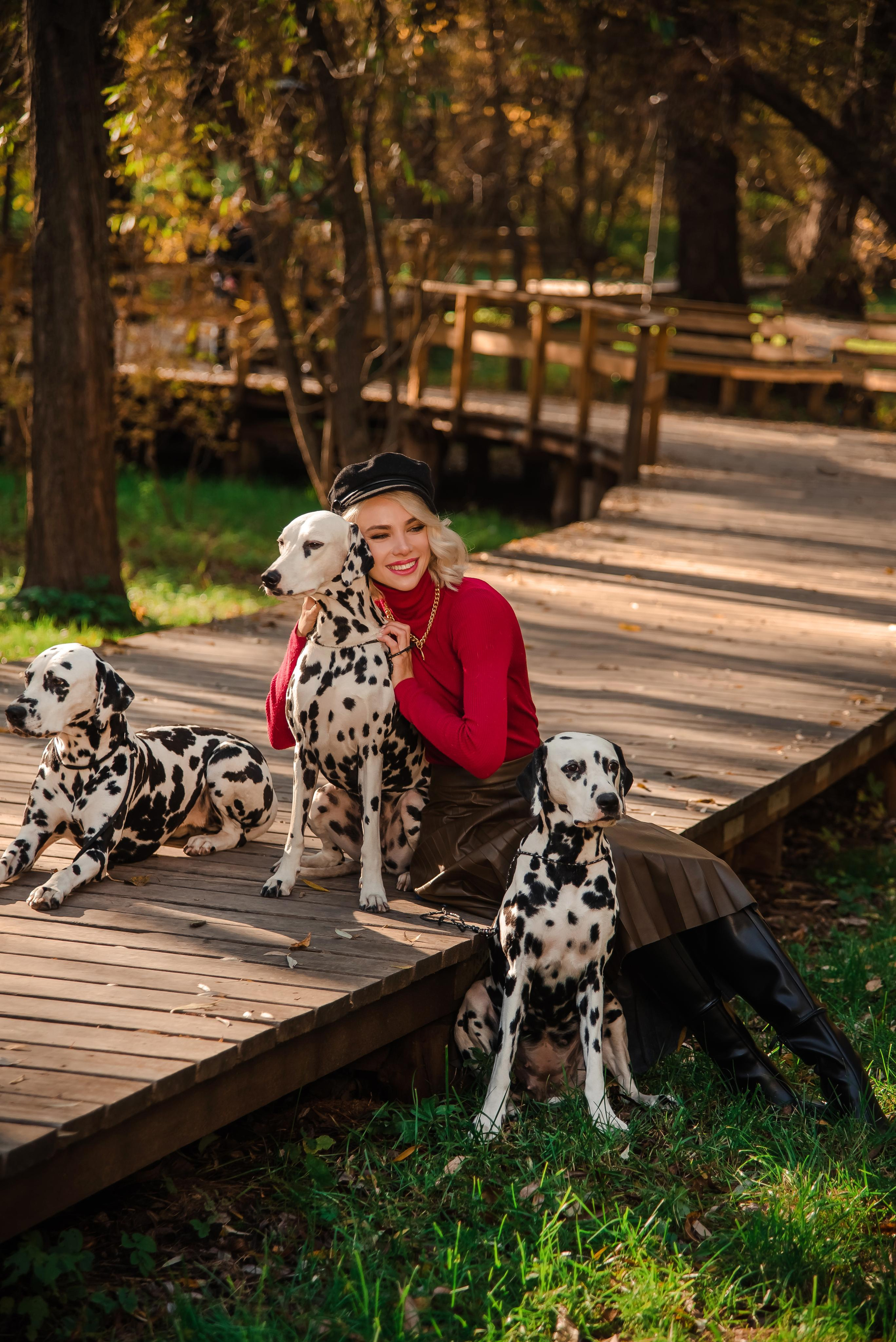 Далматины в большом городе 10.10.21. Контент фотограф в Москве Лихачева Ксения