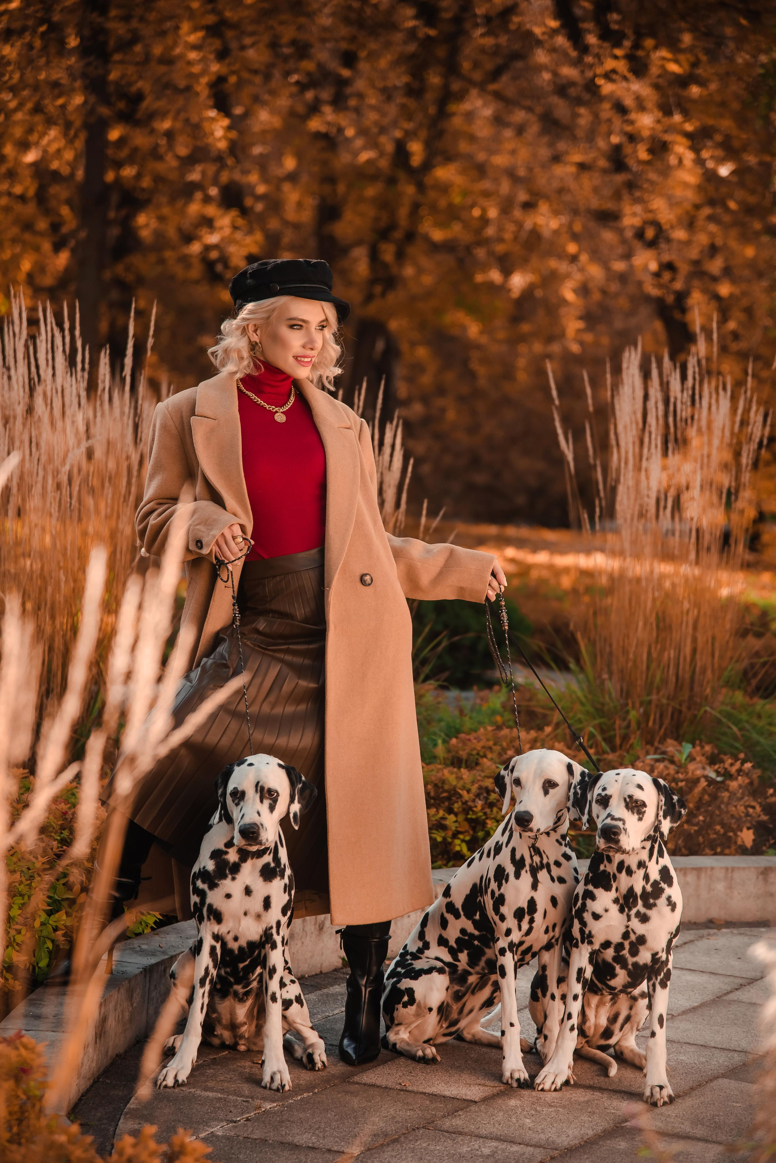 Далматины в большом городе 10.10.21. Контент фотограф в Москве Лихачева Ксения