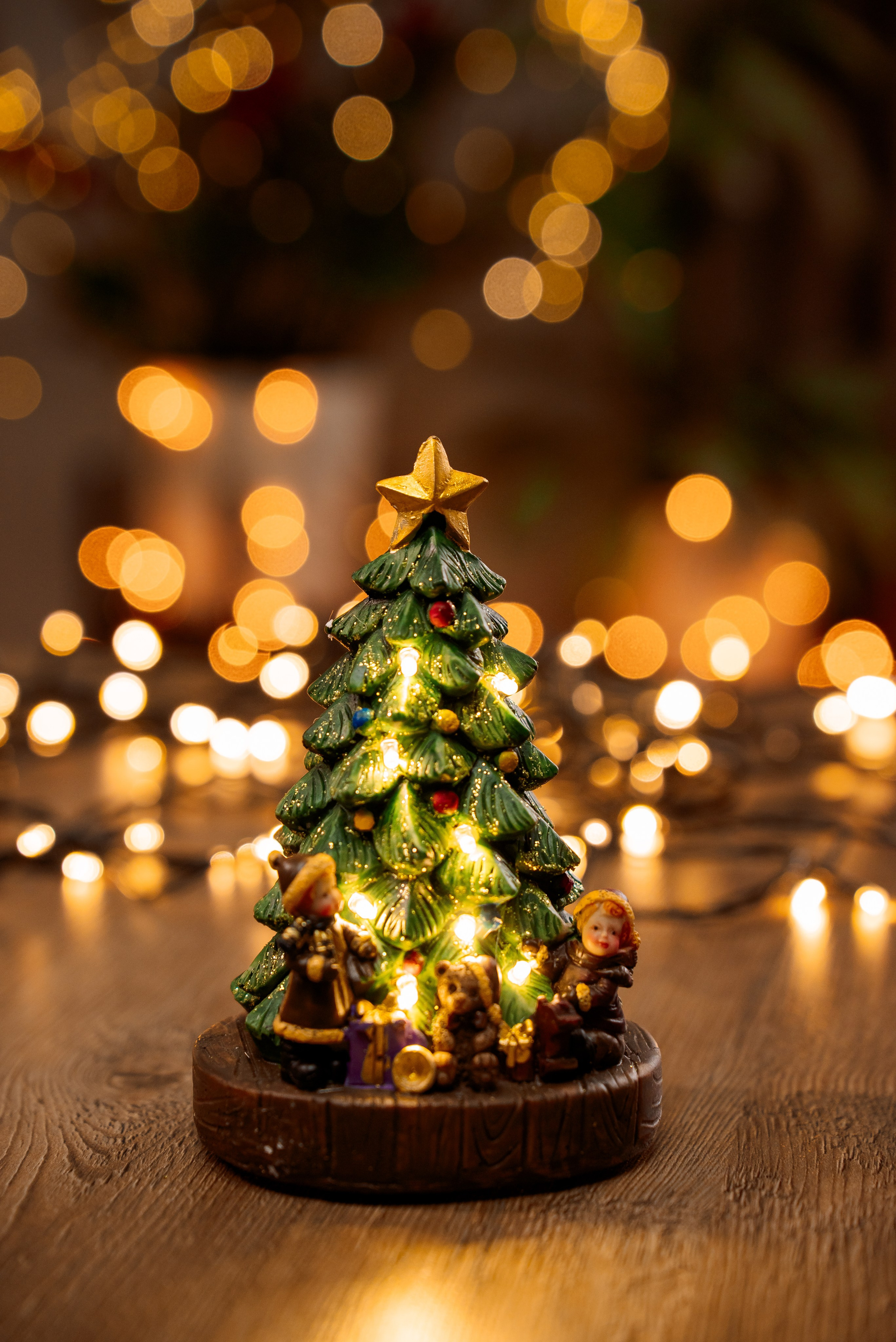 Ёлки. Фотограф Краснодар Николай Андросов