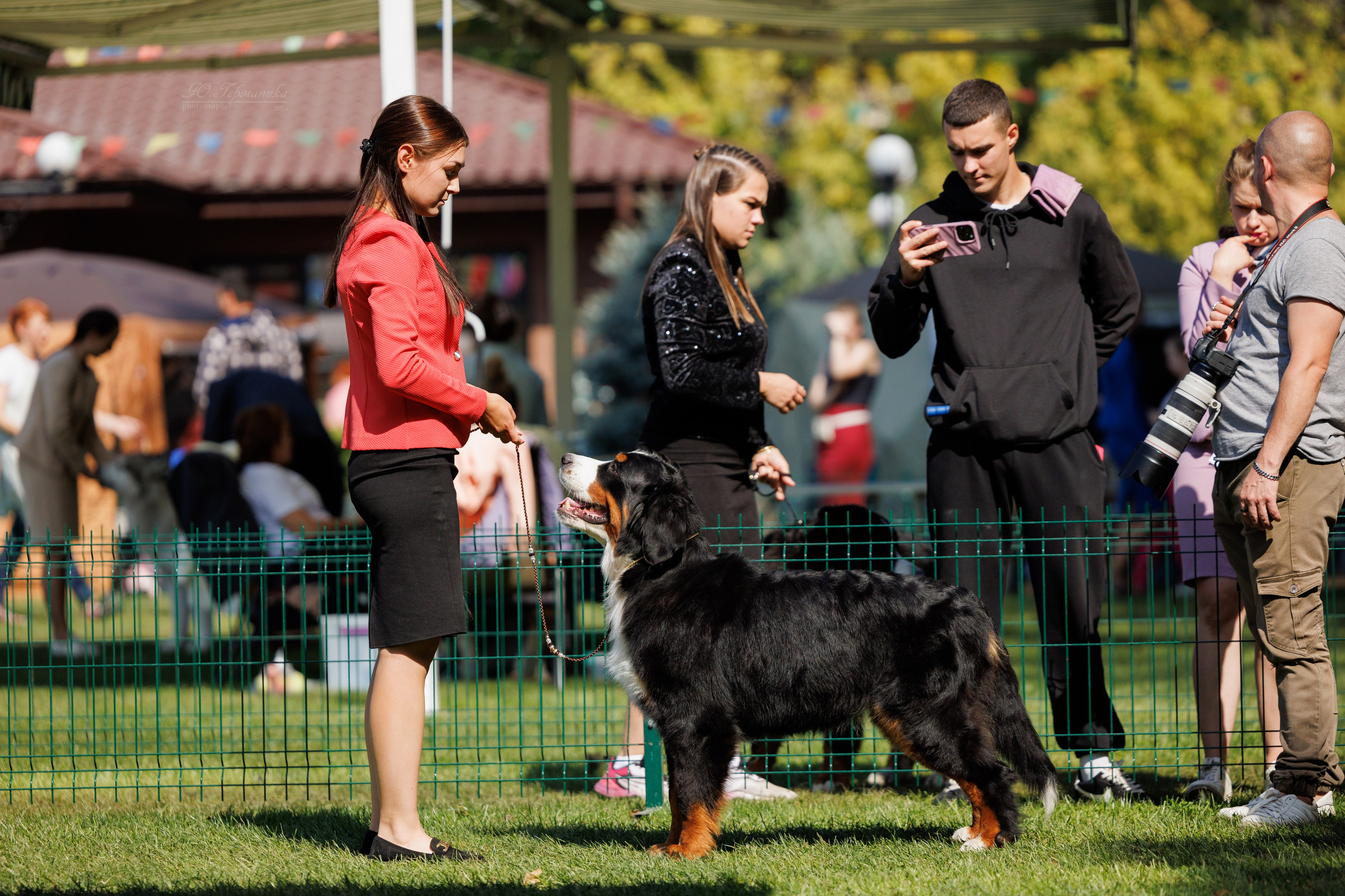 Бишкек 3х CACIB 26-28.09.2025. Фотограф-анималист Юлия Германика