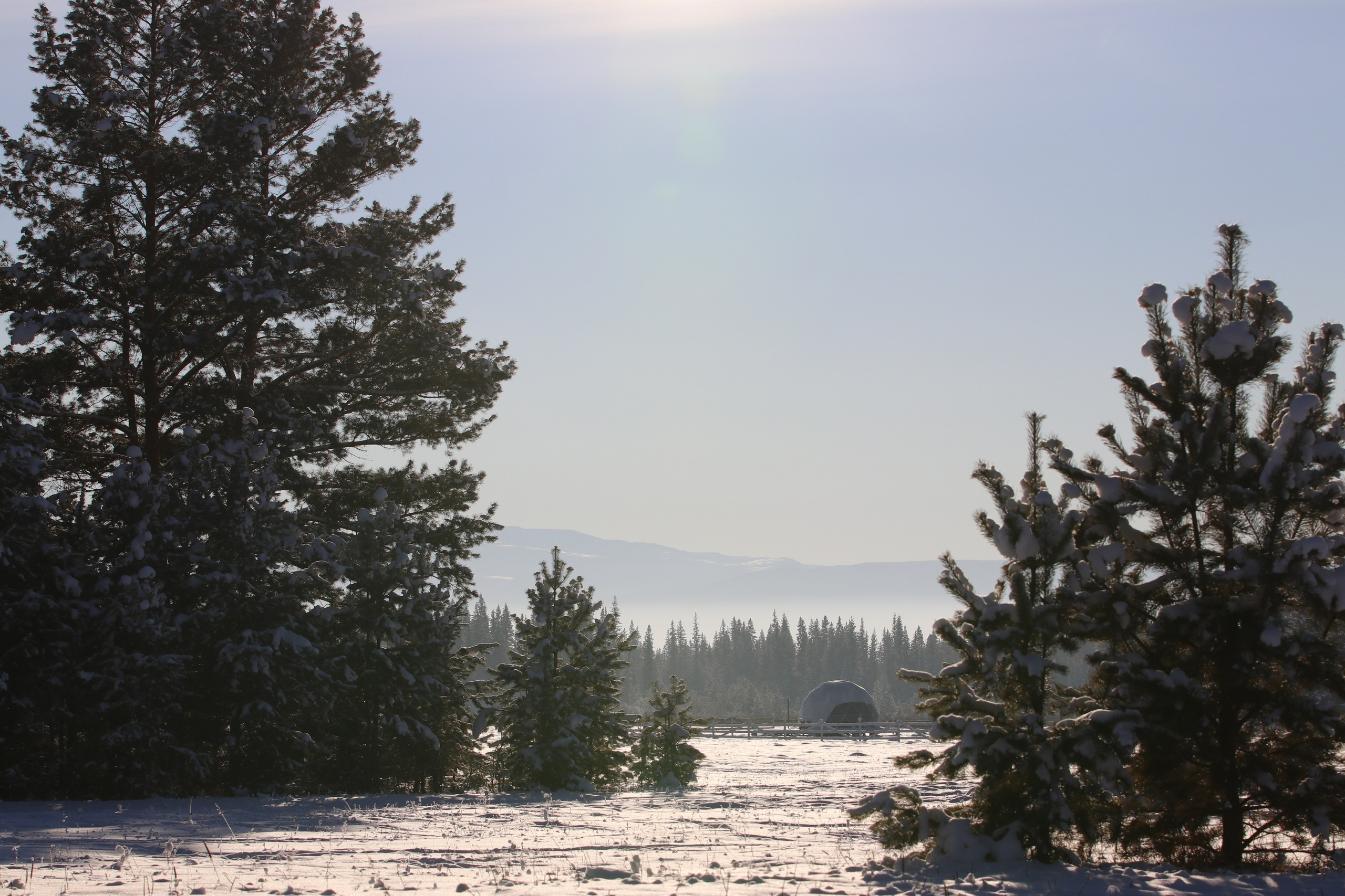 Аршан. Январь 2022. Путешественник-фотограф из Санкт-Петербурга Татьяна Свистулина