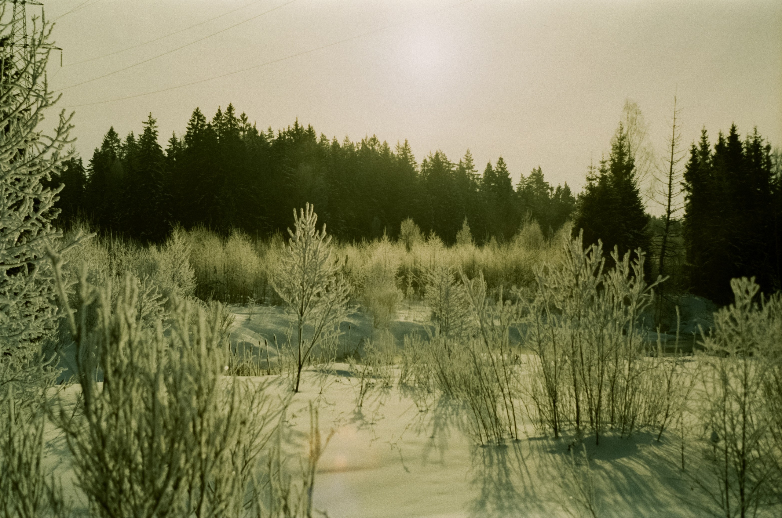 Pentax MZ-3 (1) объектив Schneider-Kreuznach Retina-Xenon 50 mm f/1.9 D