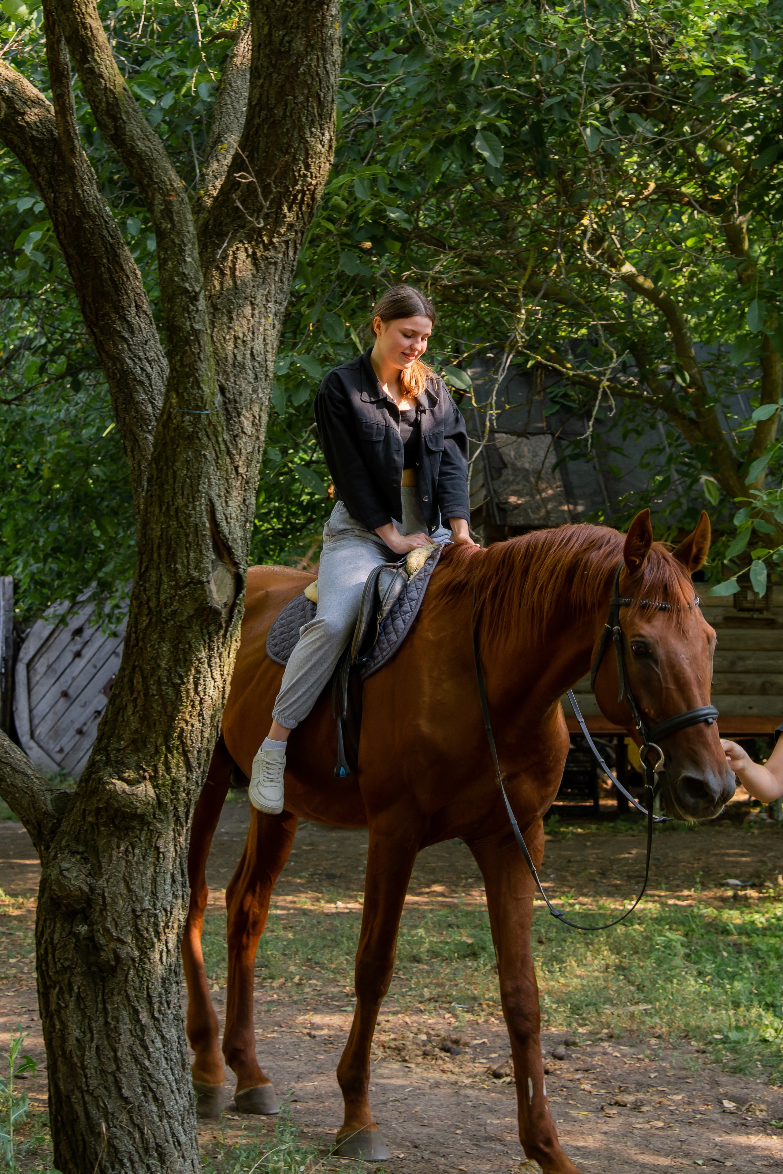 Конная прогулка. Фотограф Галина Нестерова