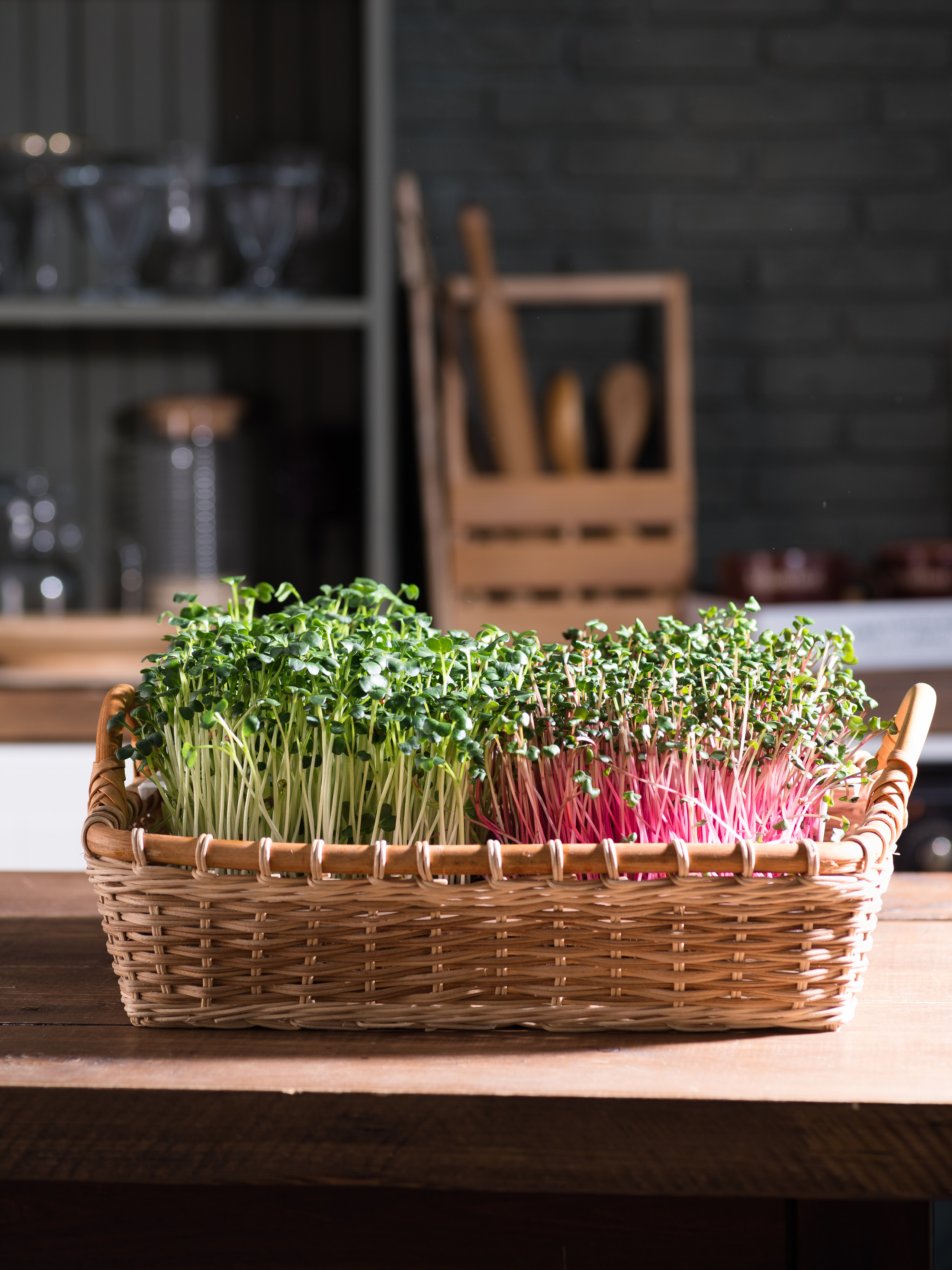 Микрозелень с кухней с серым кирпичем на заднем плане в корзине плетеной 