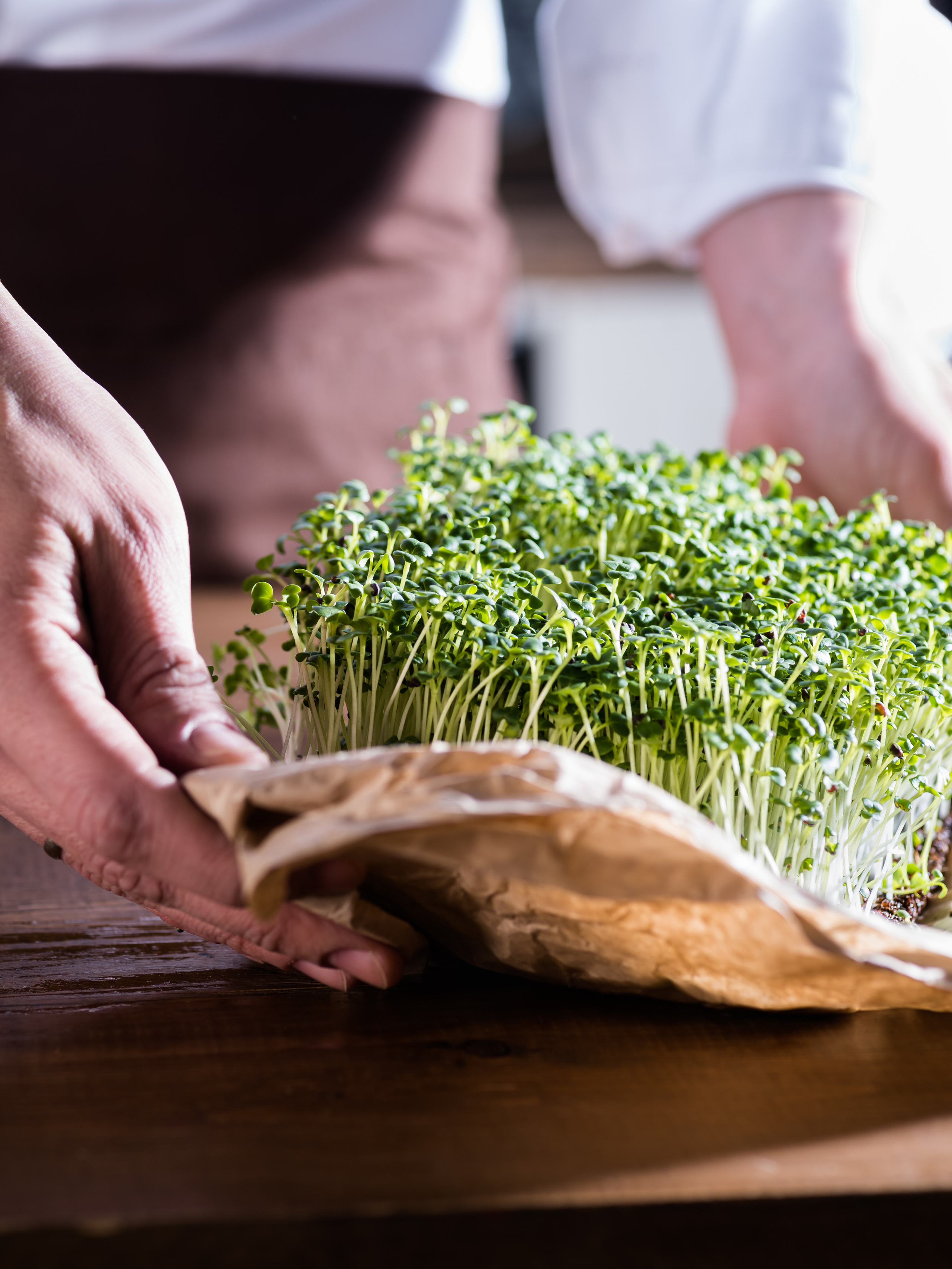 Съемка для соцсетей микрозелени в руках на крафтовой бумаге