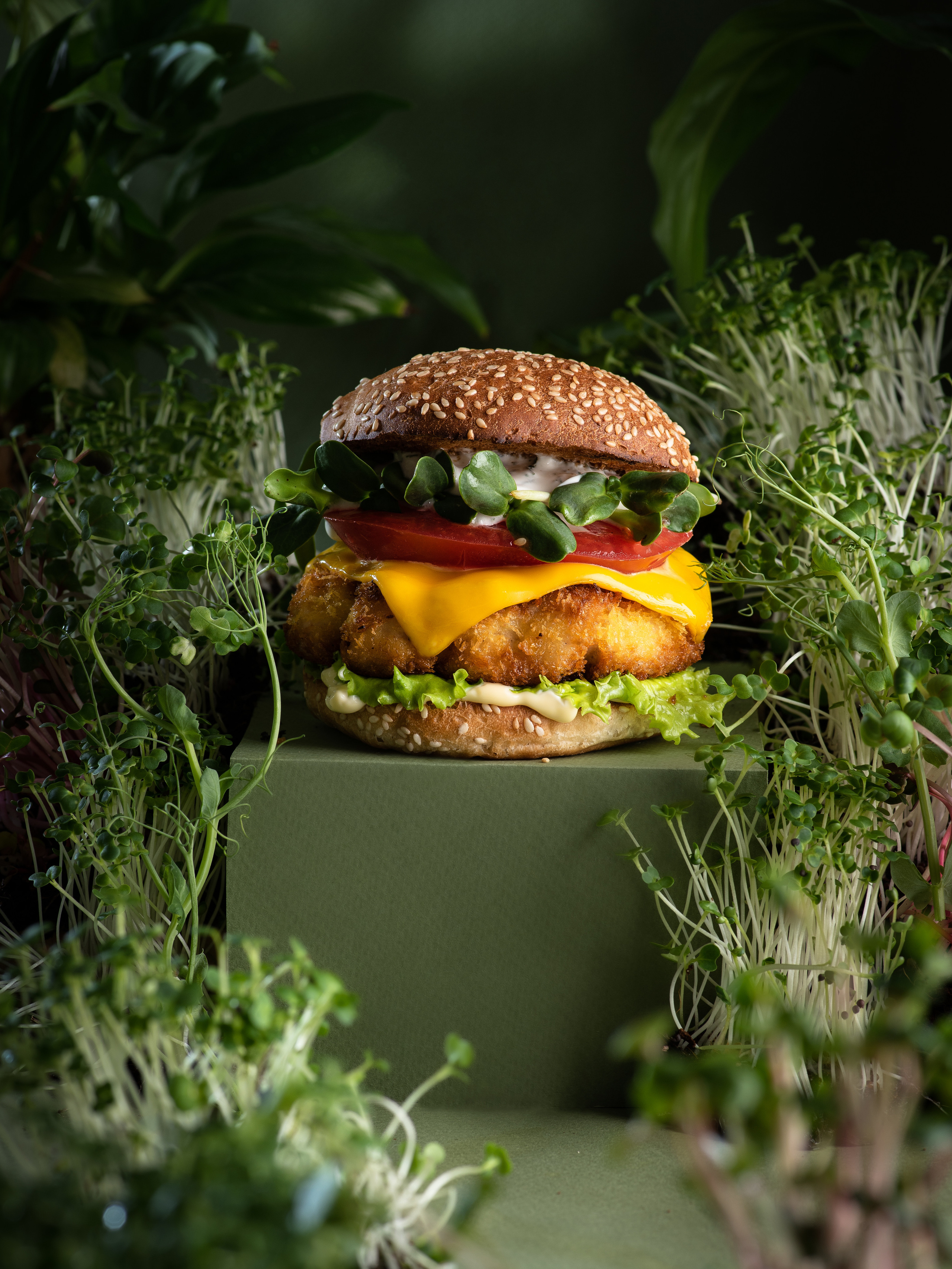 Фуд-съемка и фудстайлинг