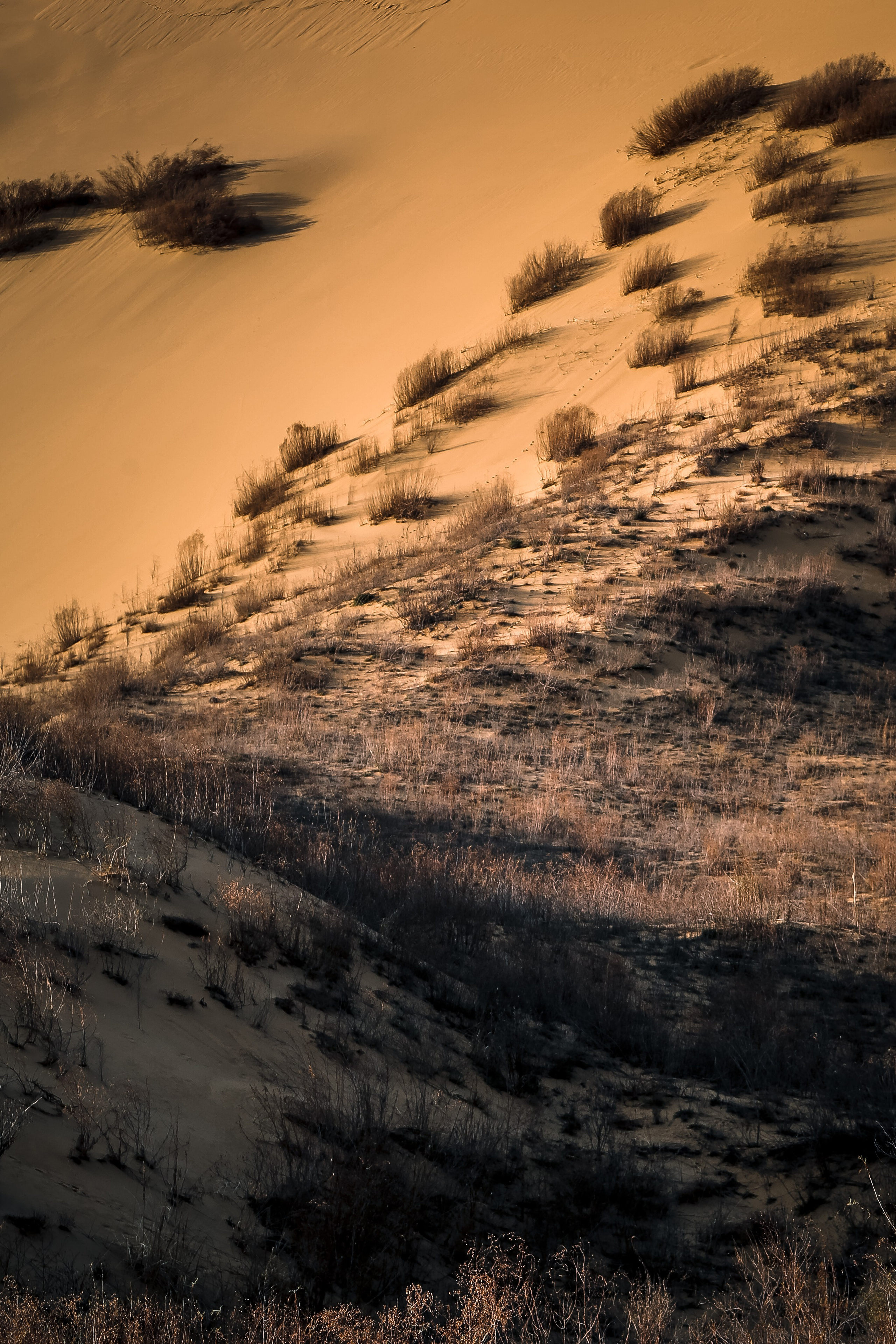 Кавказ: многоликий Дагестан. Дарья Письменюк / Darya Leitstern — фотограф, музыкант, журналист, путешественник