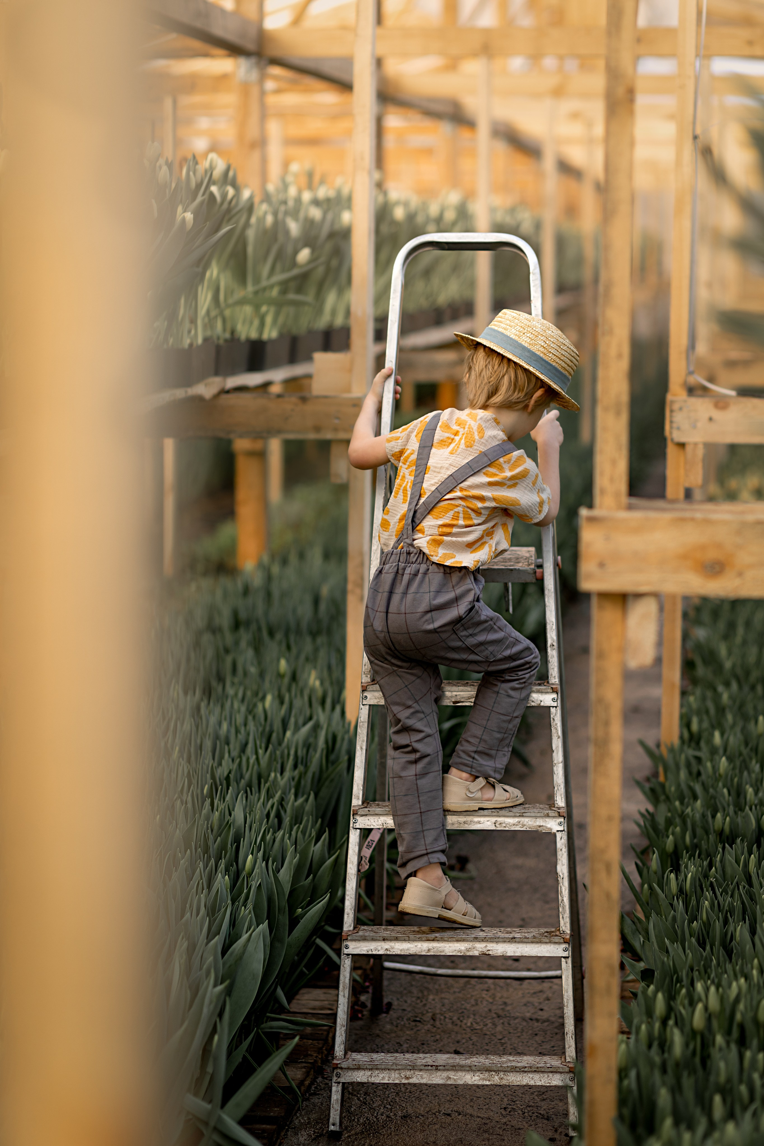 В теплице. Детский и семейный фотограф в Красноярске Елена Коровкина