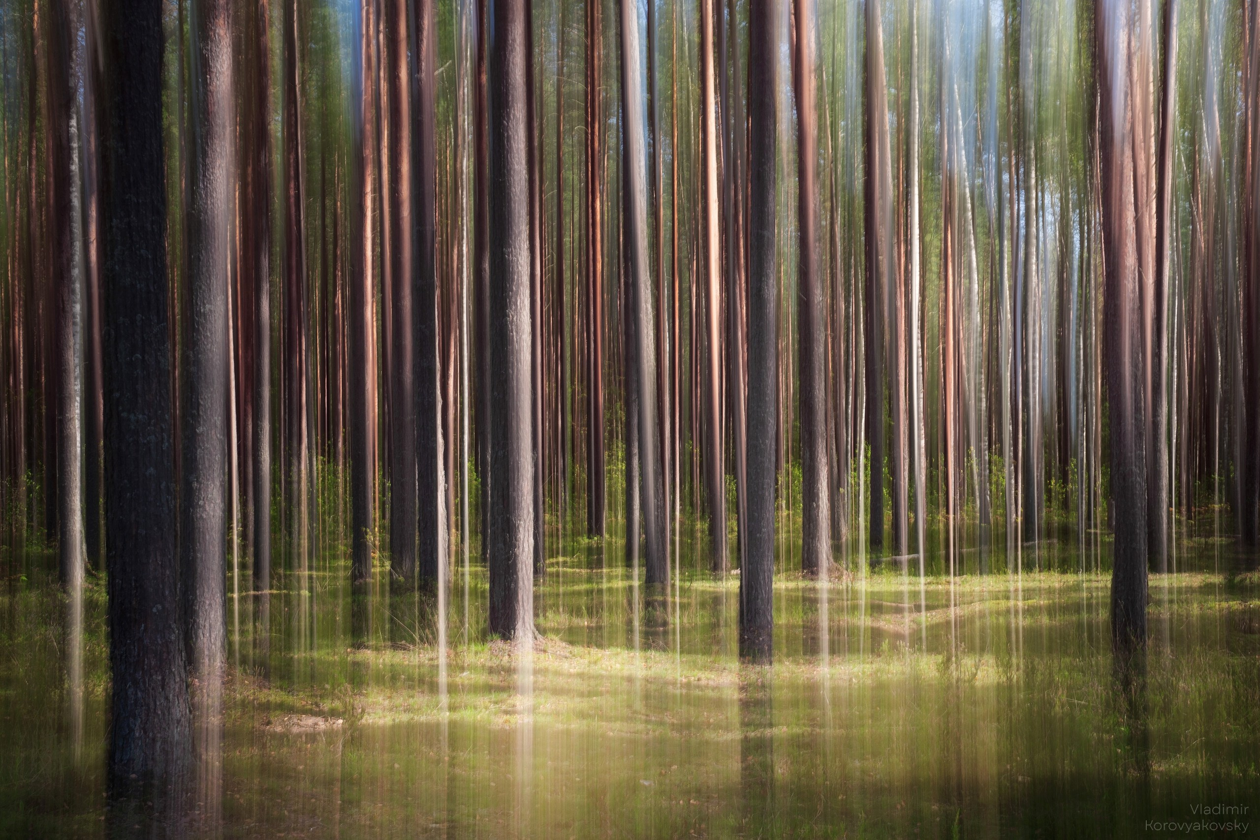 Природа. Фотограф Владимир Коровяковский