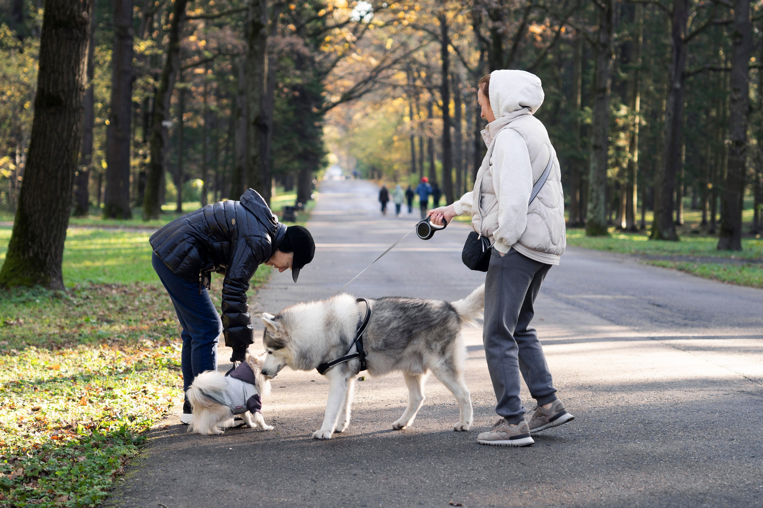 Разное неважное. Фотограф в Москве Алейникова Евгения
