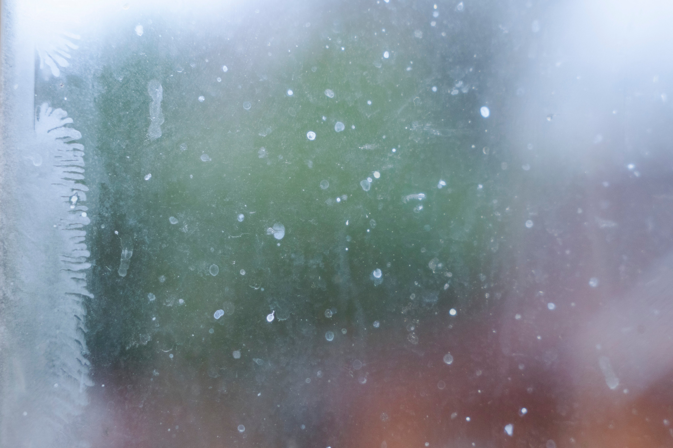 Молчановы. Многолетний проект о молодой семье. Фотограф в Москве Савкина Евгения