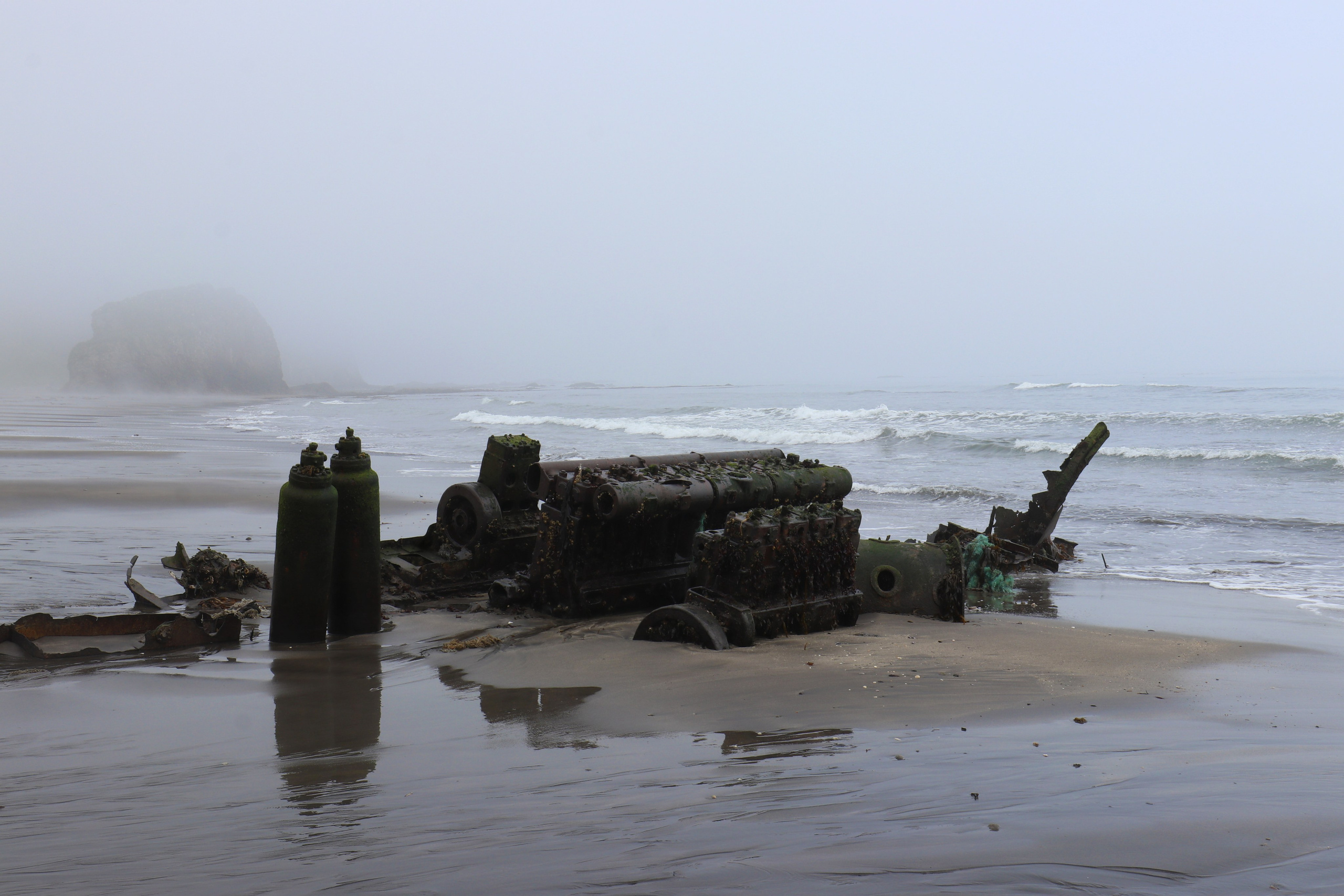 Камчатка и о. Парамушир. Июль 2024. Путешественник-фотограф из Санкт-Петербурга Татьяна Свистулина