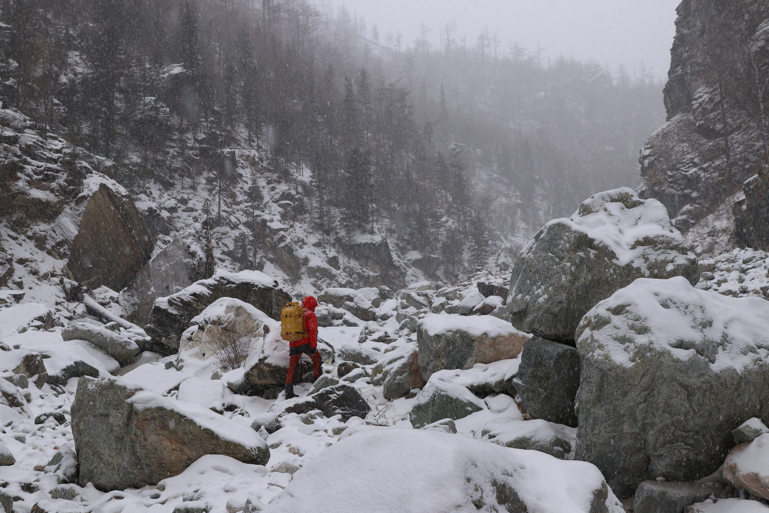 Аршан. Январь 2024. Путешественник-фотограф из Санкт-Петербурга Татьяна Свистулина