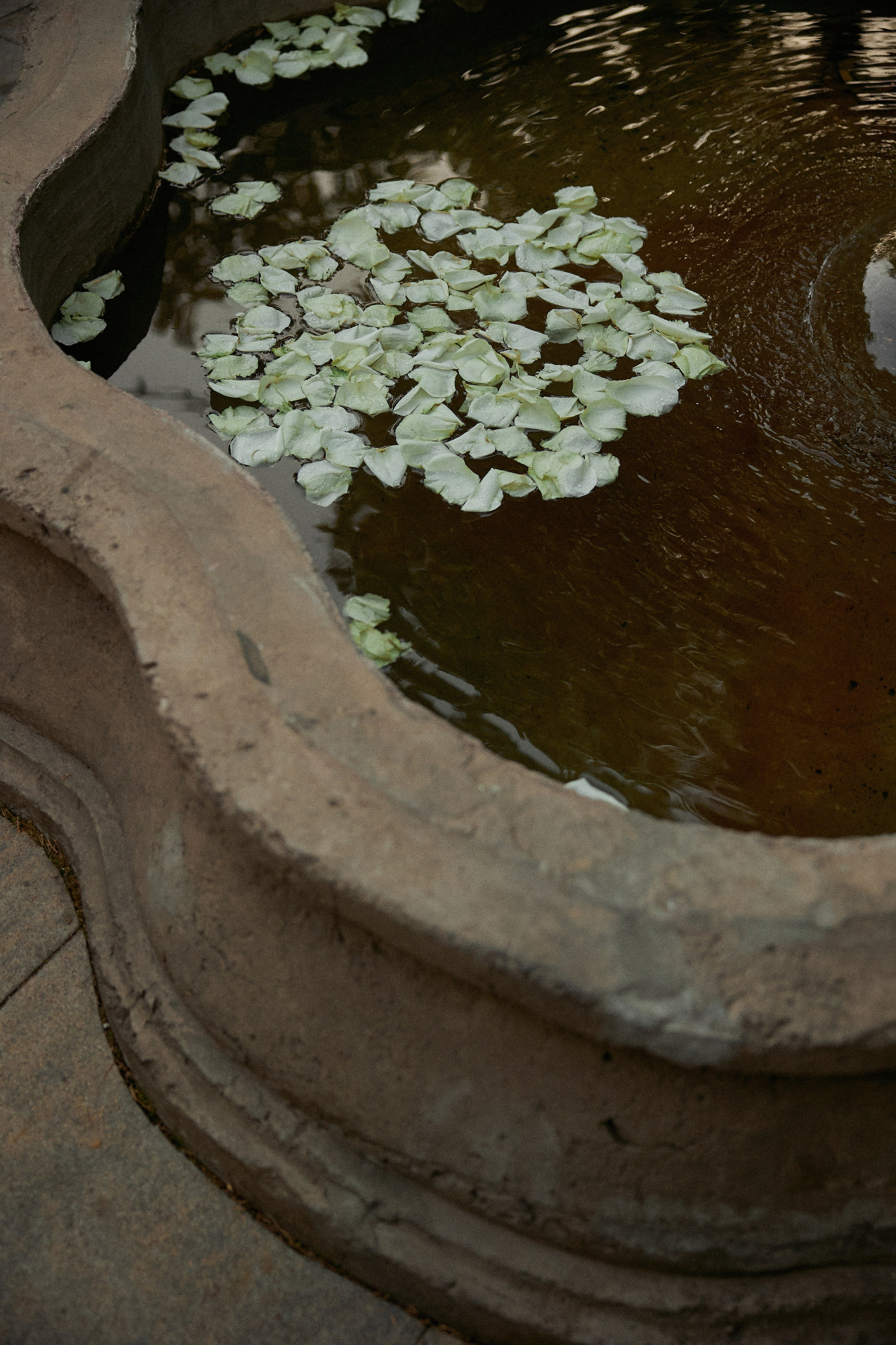 Саша и Ира. Фотограф Айвазова Наталья Краснодар