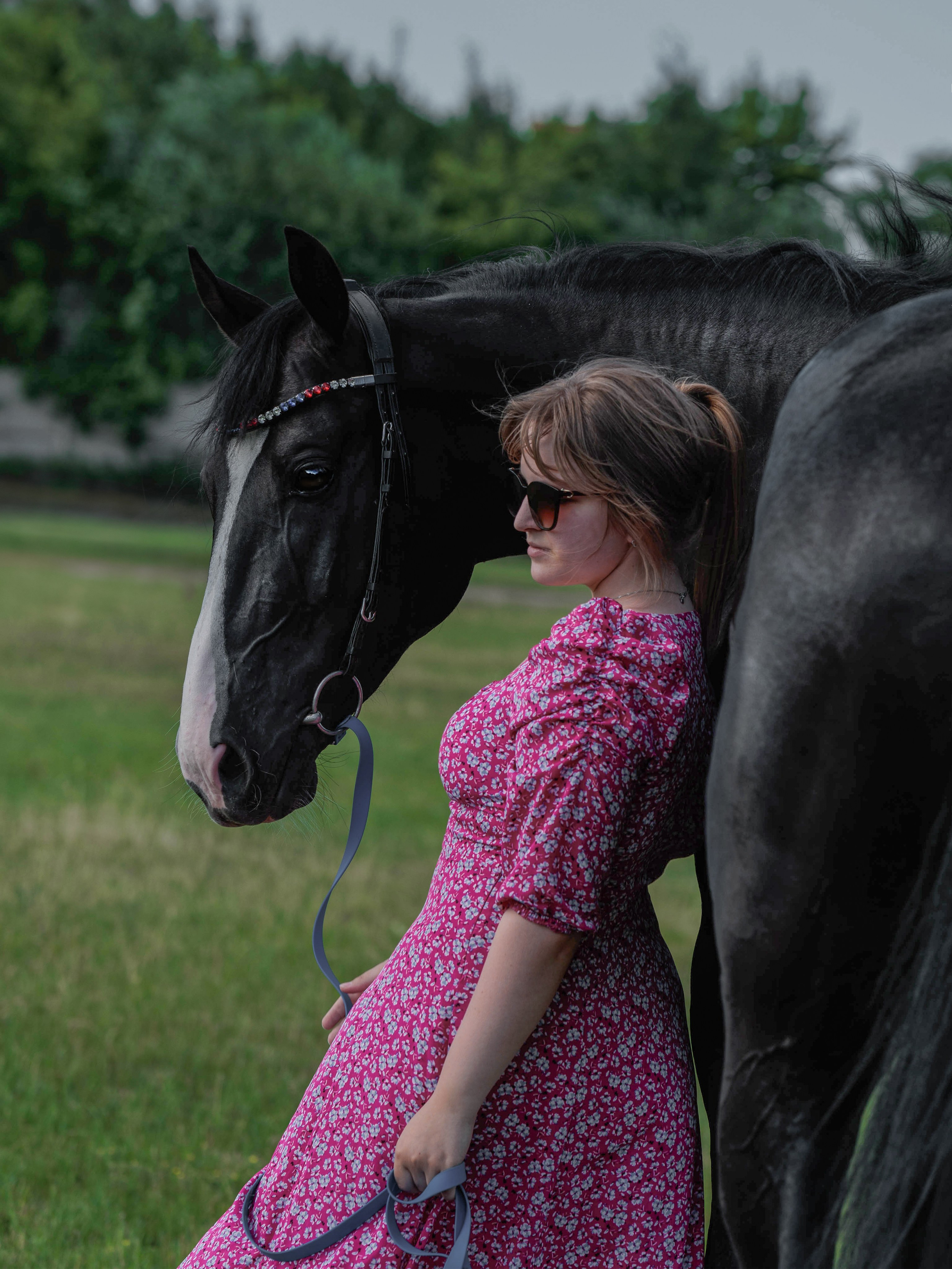 2025. Конный фотограф в Красноярске — Любовь Похабова