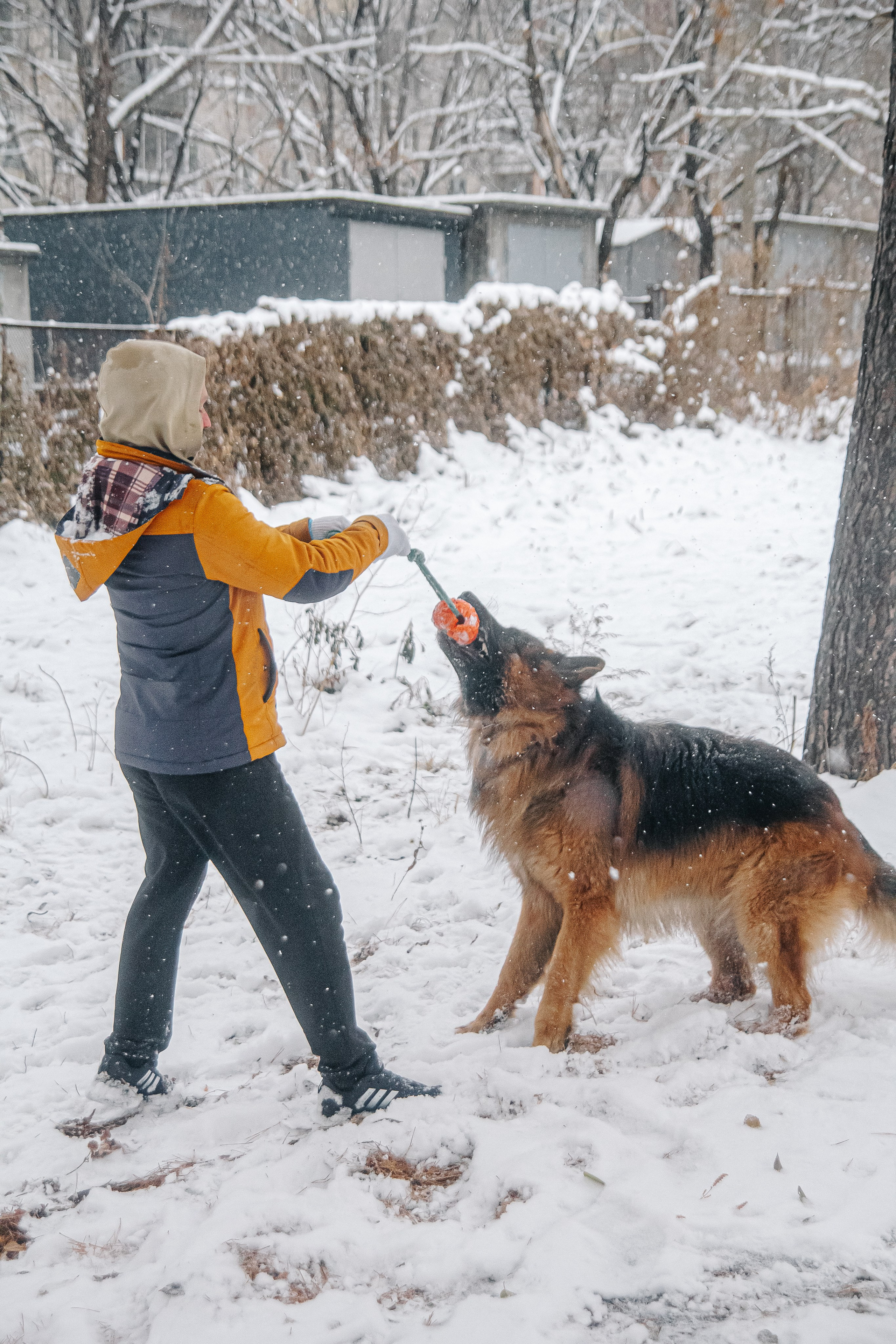 Первый снег 24. Фотограф в Хабаровске Юлия Чванова