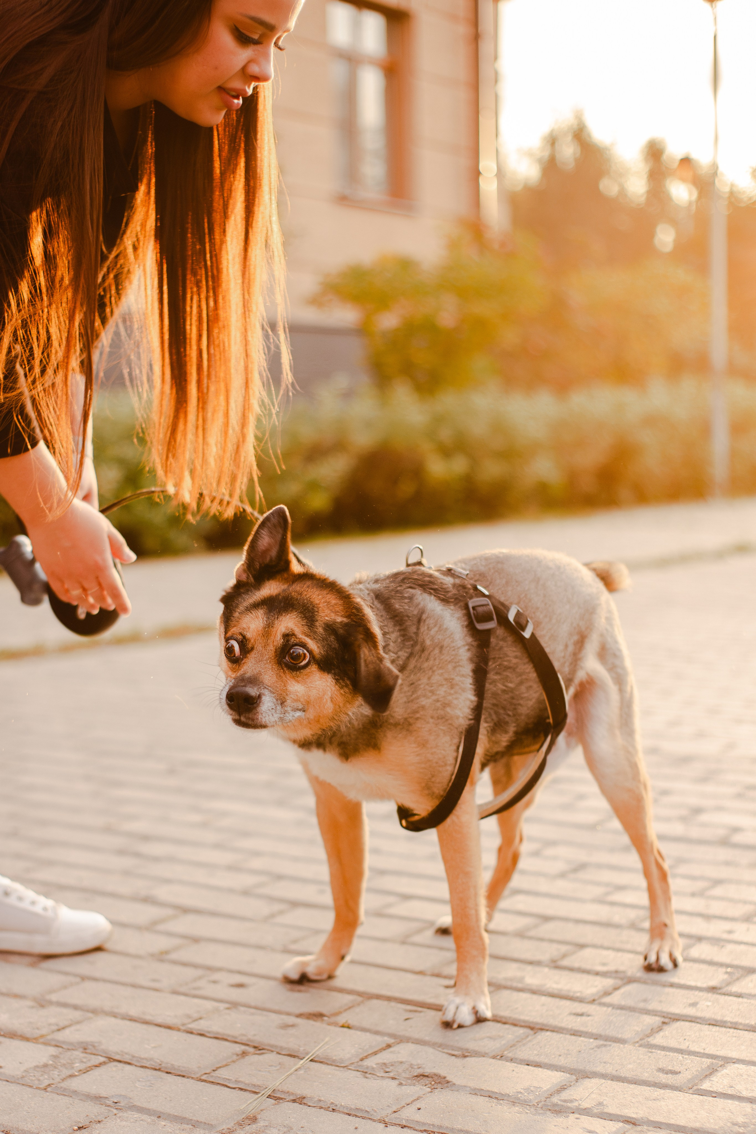 Виктория и Раф. Фотограф-анималист Мария Баркевич | Москва